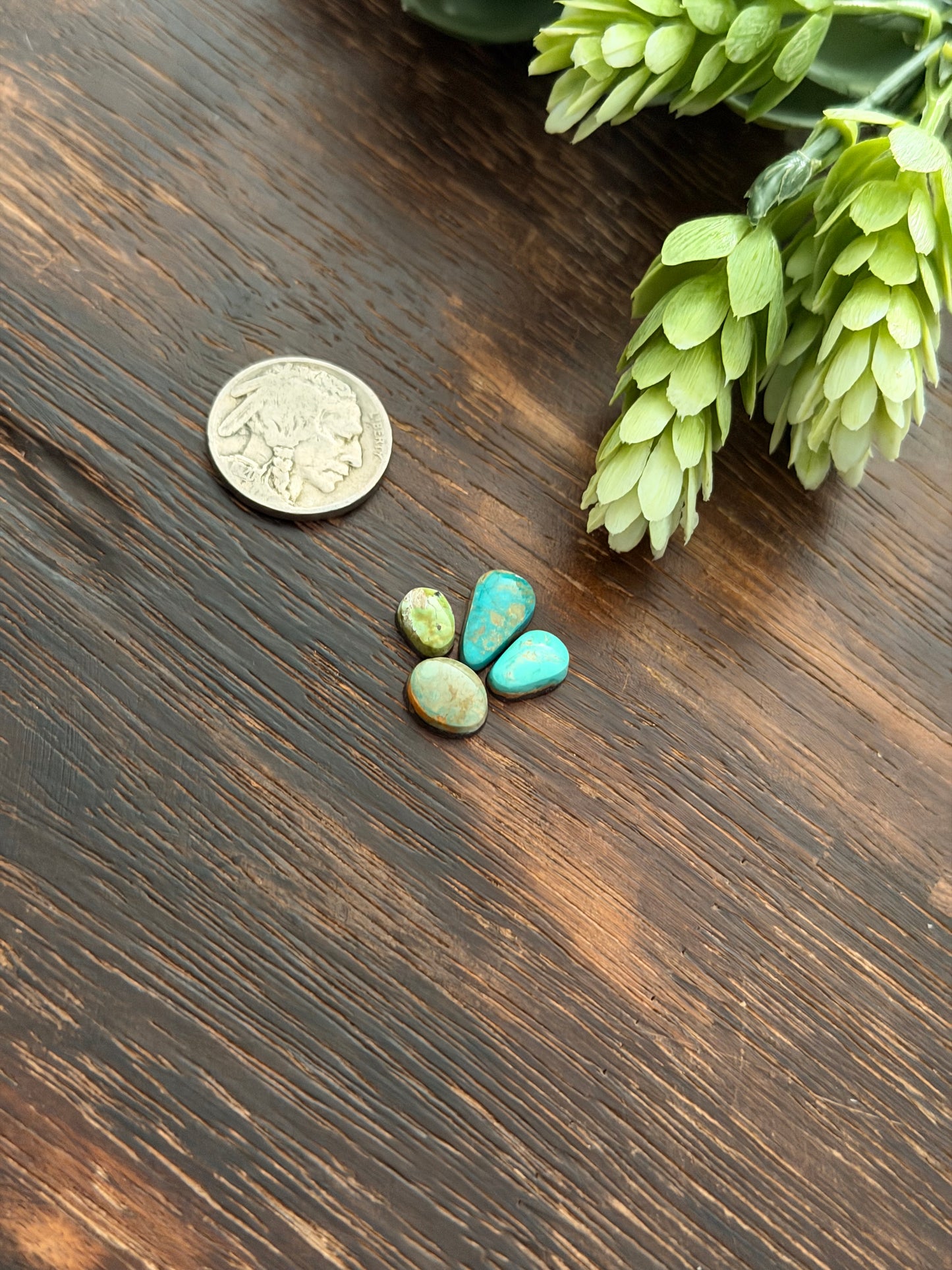 Evans Turquoise Cabs