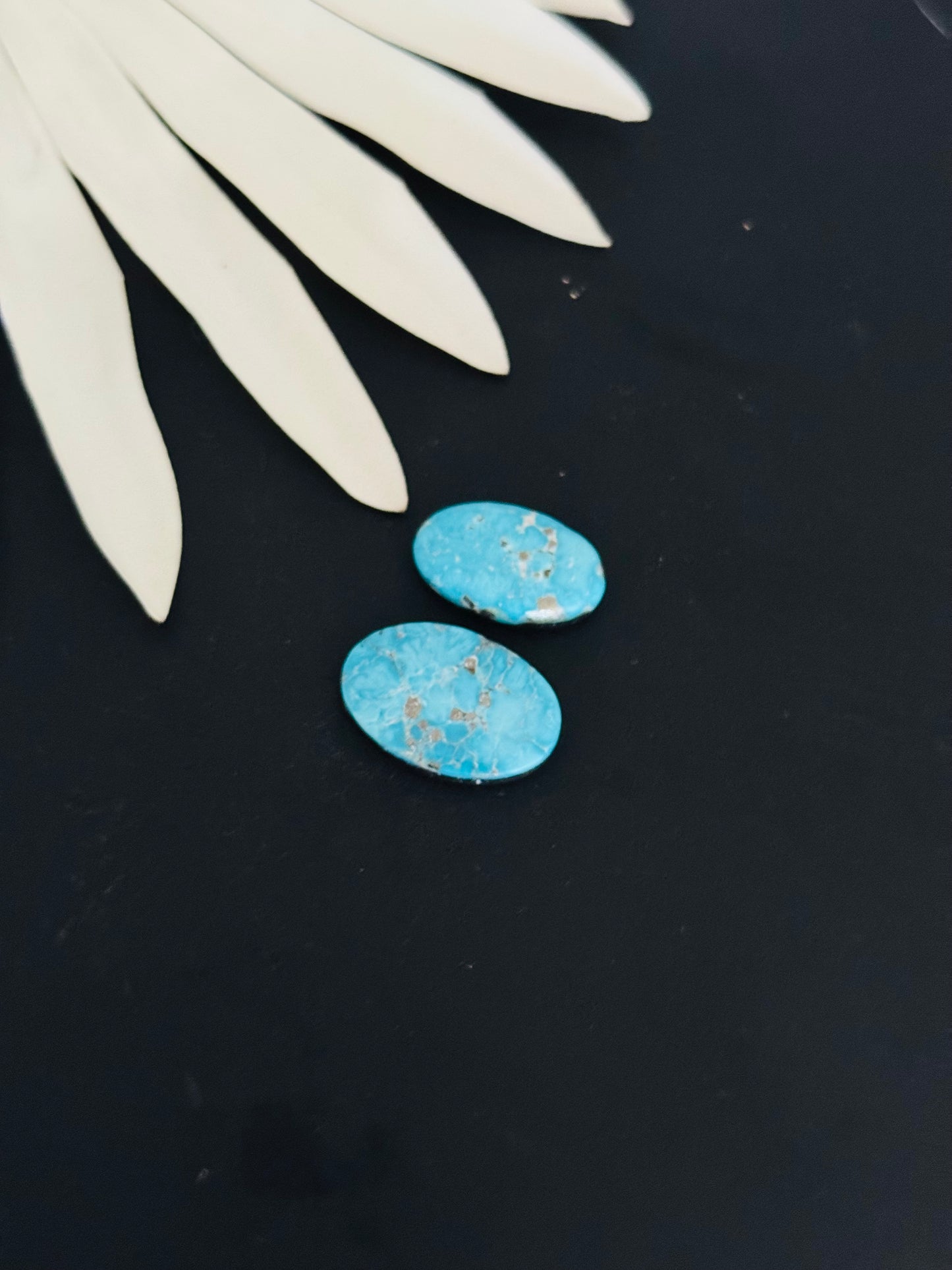 Blue Bird Turquoise Cabs