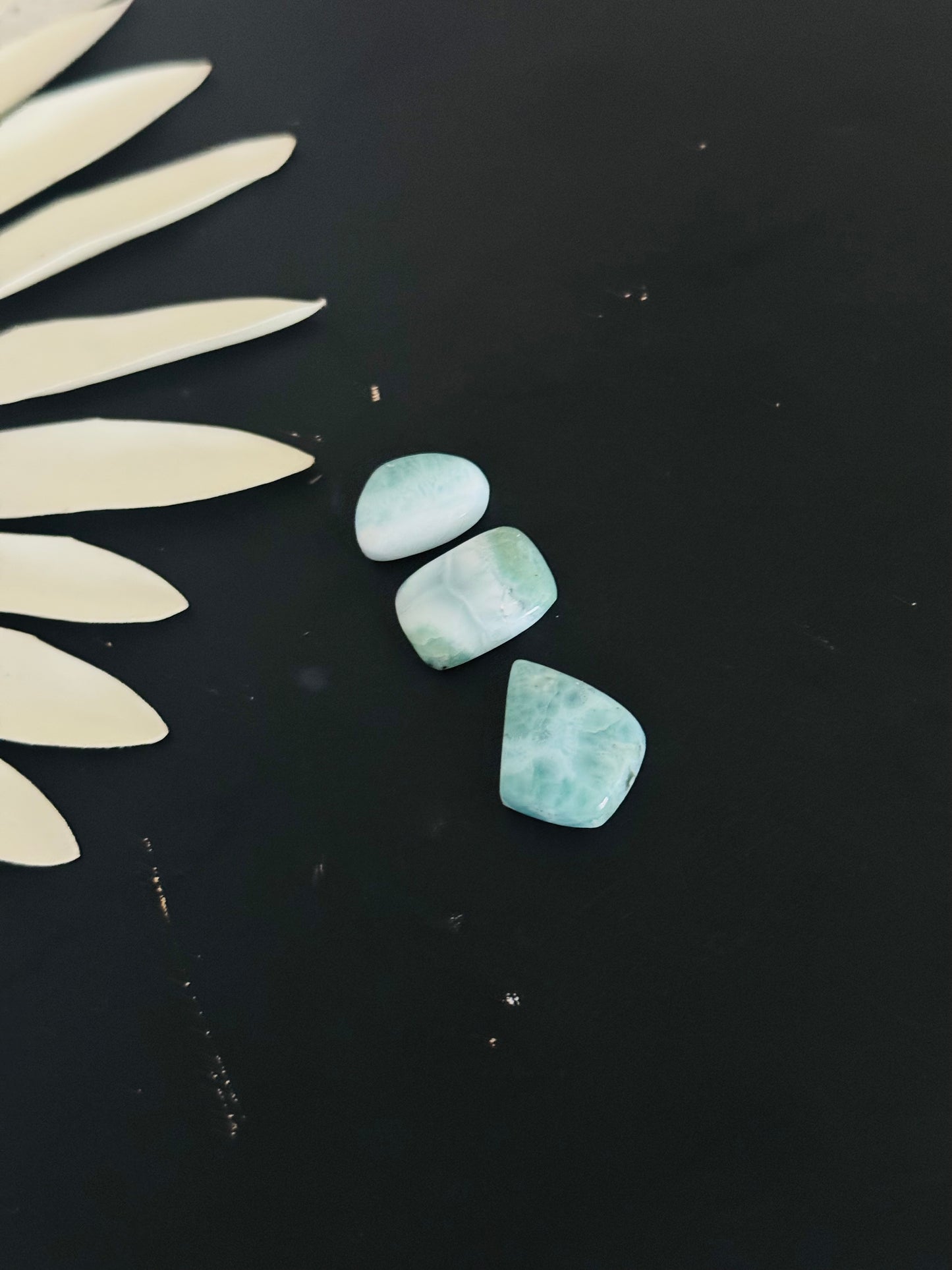 Larimar Cabs