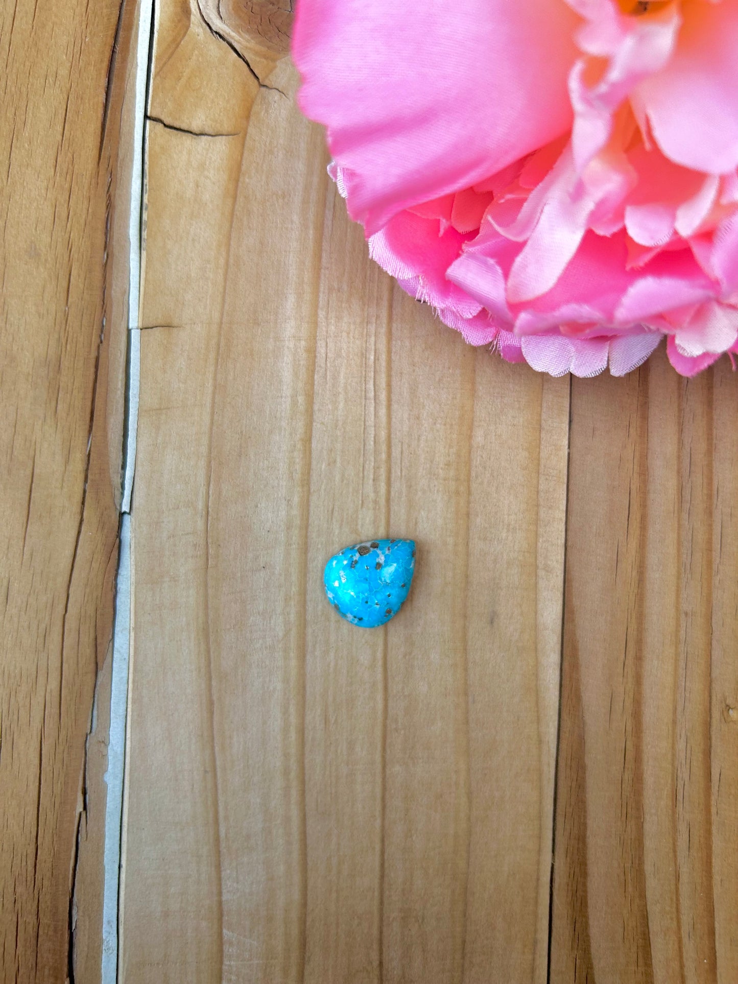 Blue Bird Turquoise Cabs