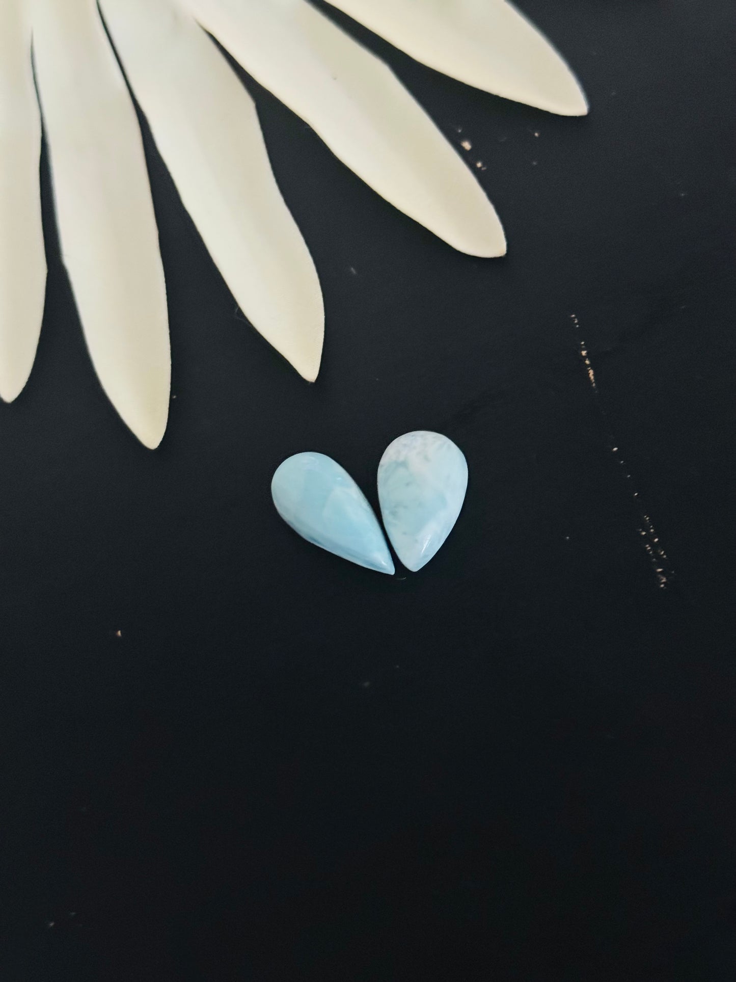 Larimar Cabs
