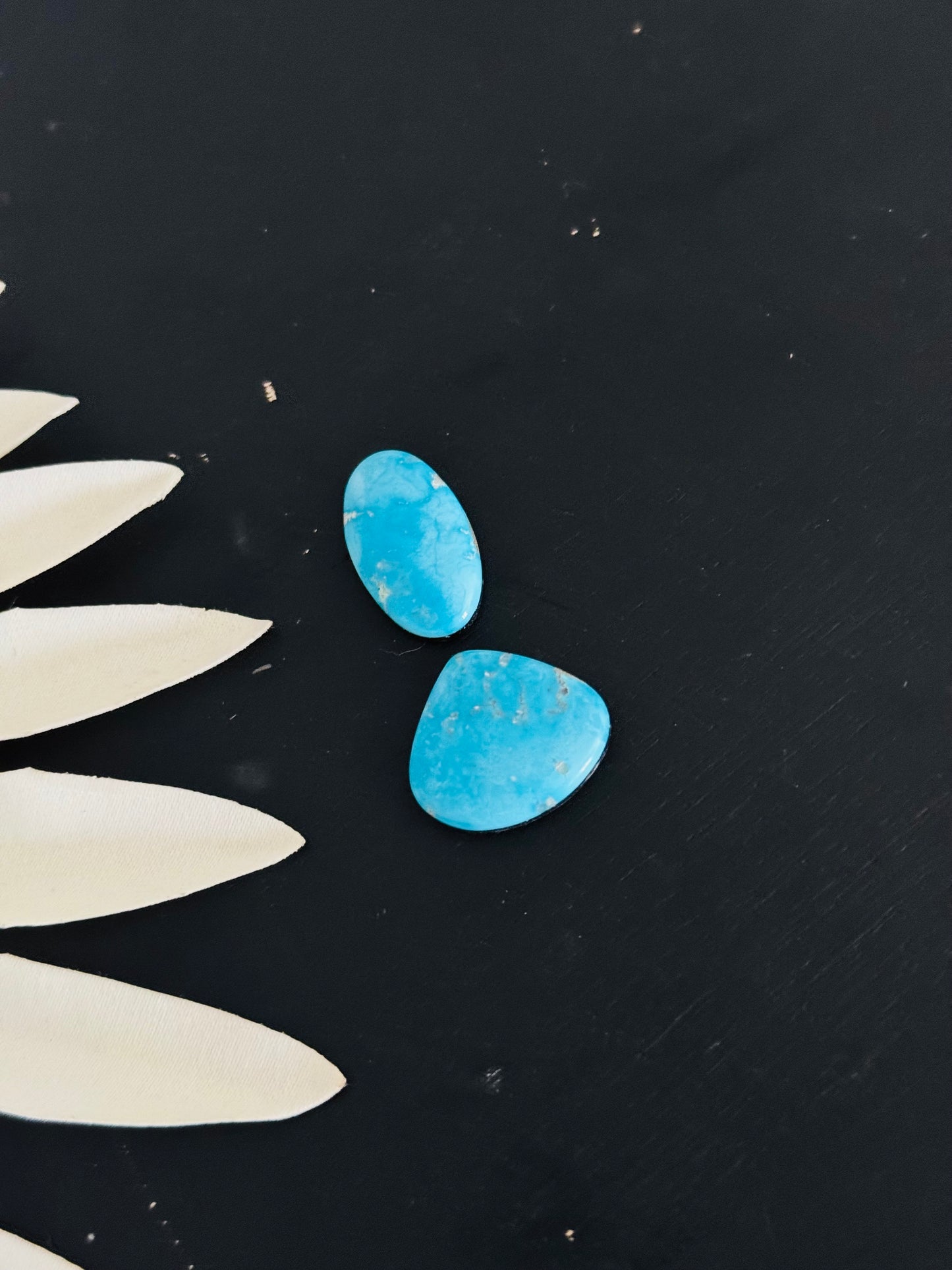 Blue Bird Turquoise Cabs
