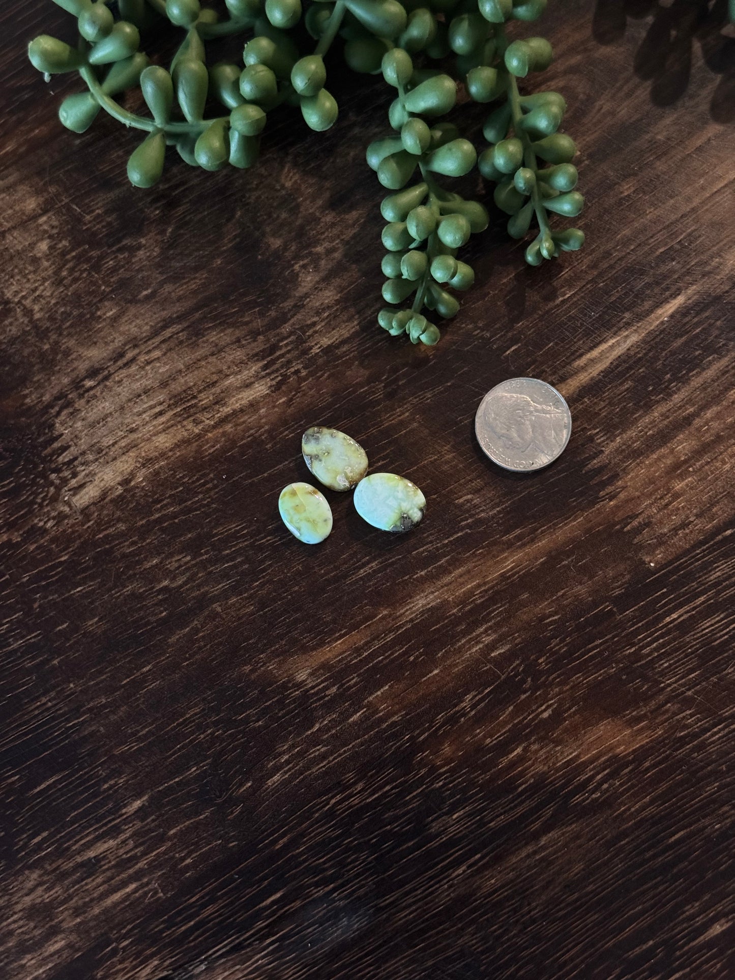 Palomino Variscite Cabs