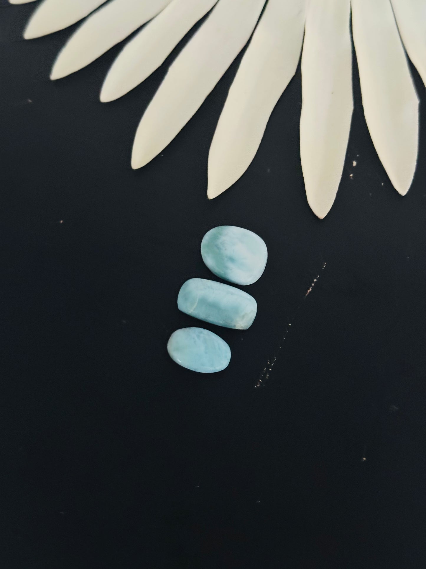 Larimar Cabs
