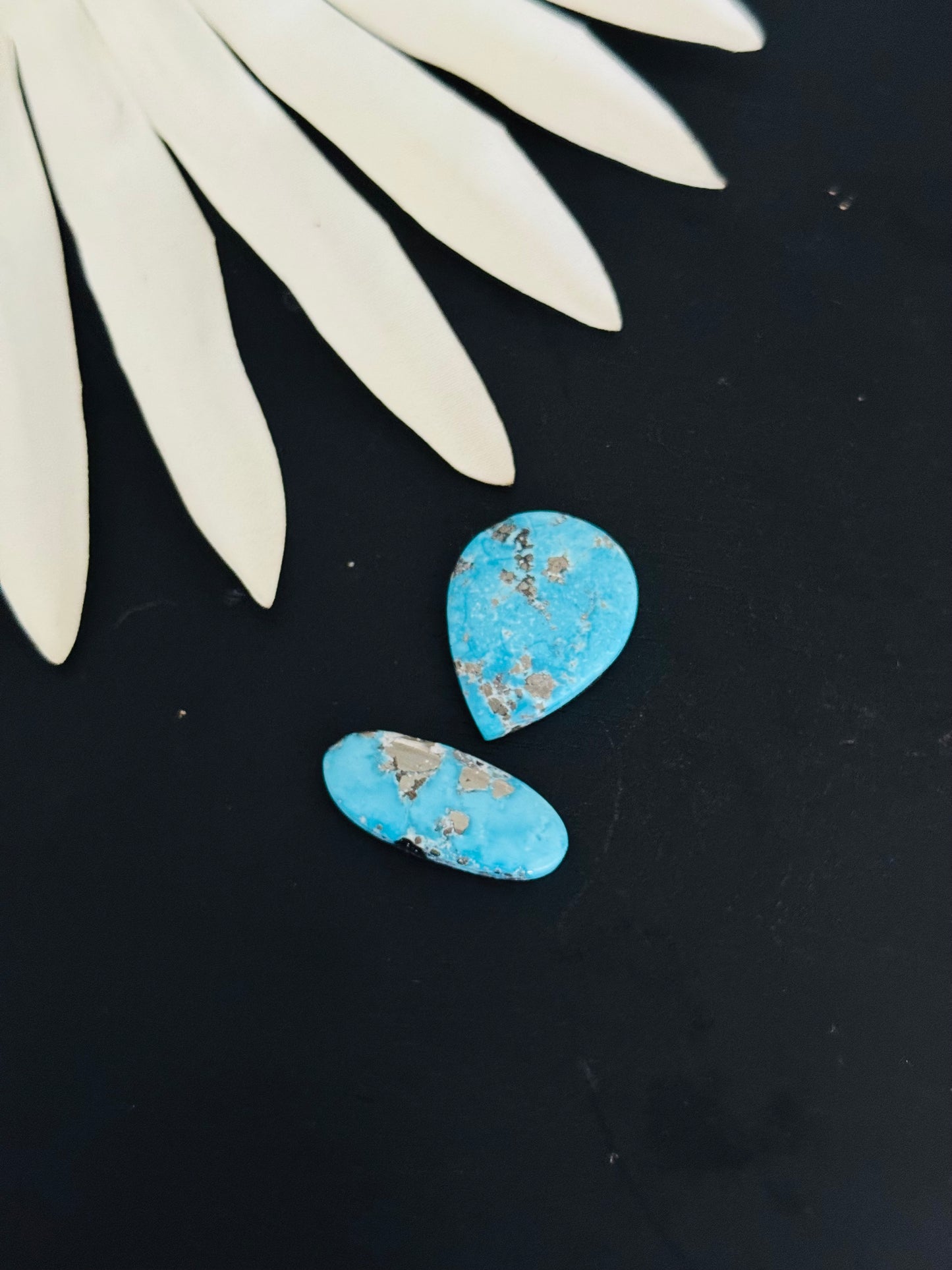 Blue Bird Turquoise Cabs
