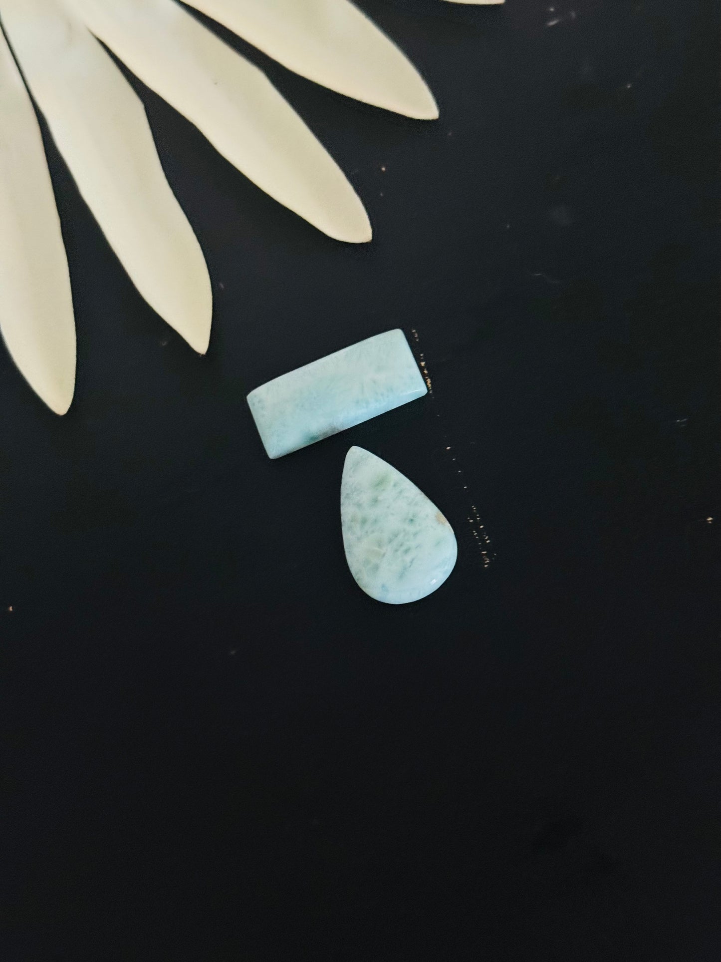 Larimar Cabs