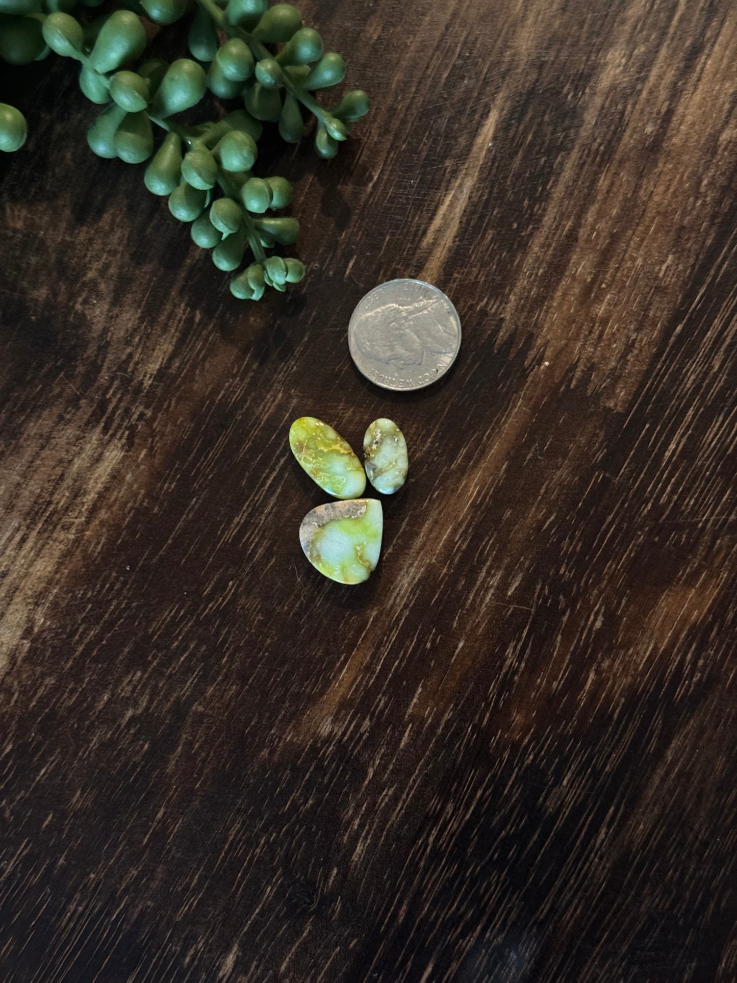 Palomino Variscite Cabs