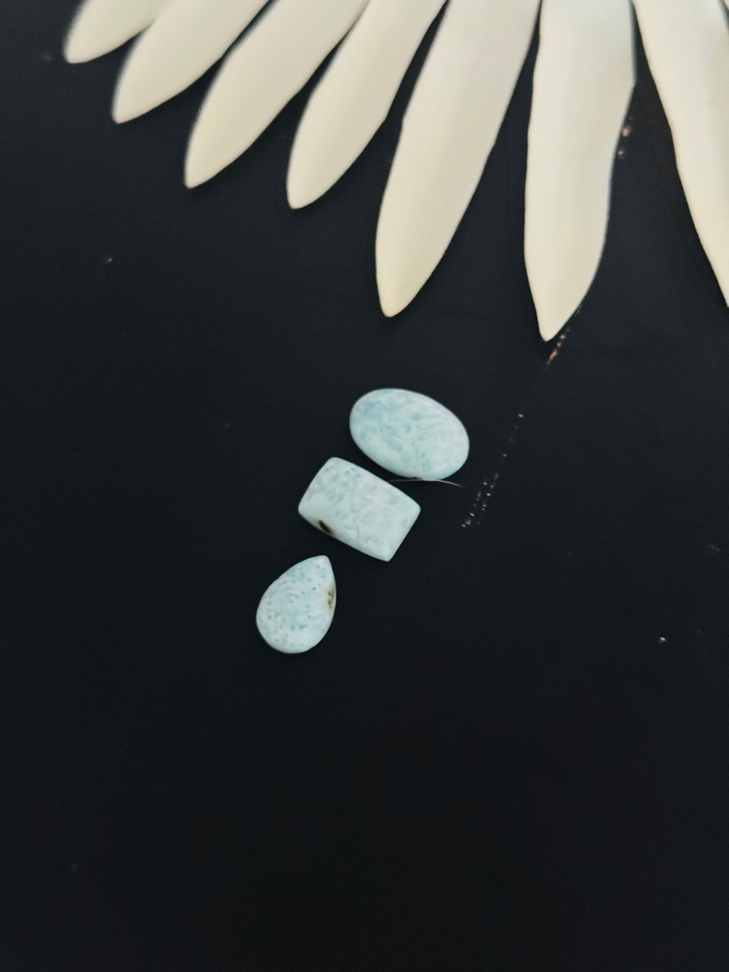 Larimar Cabs