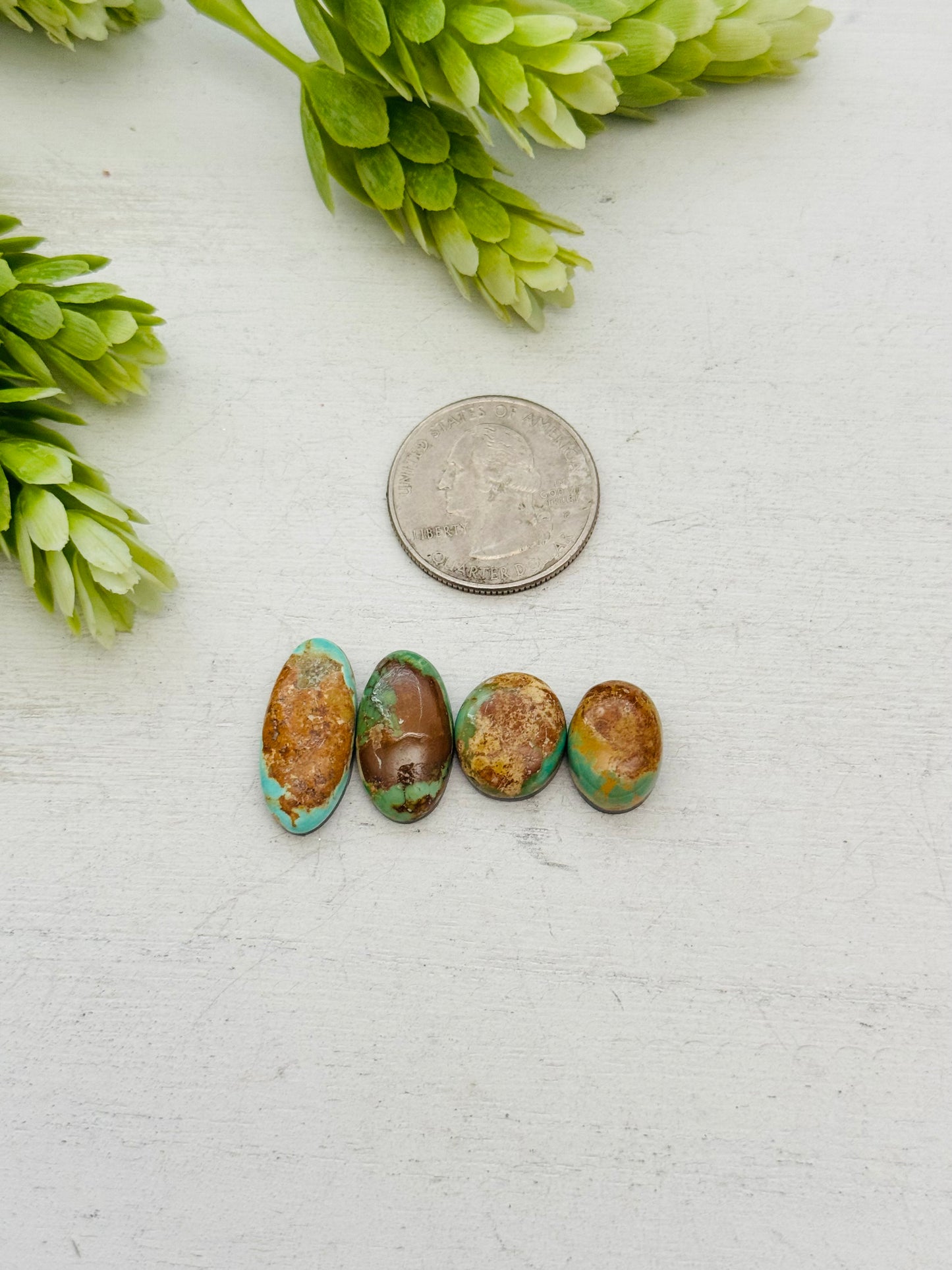 Evans Turquoise Cabs