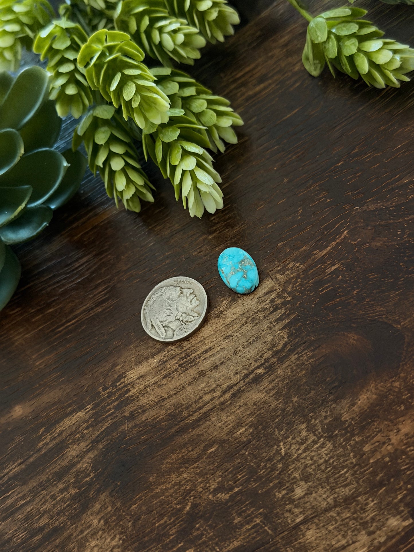 Blue Bird Turquoise Cab