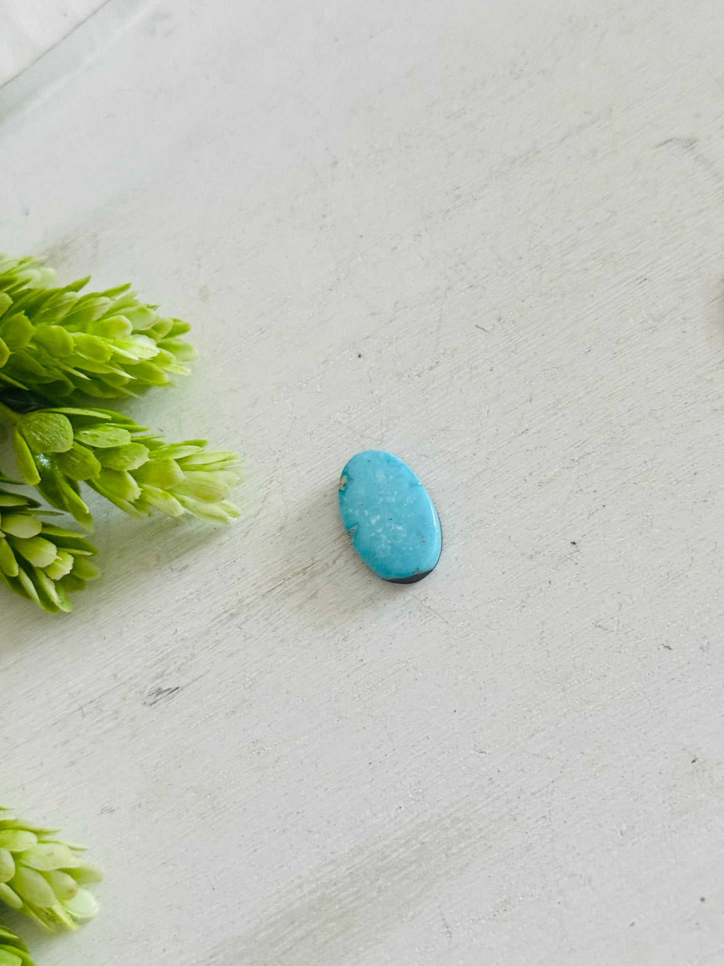 Blue Bird Turquoise Cab