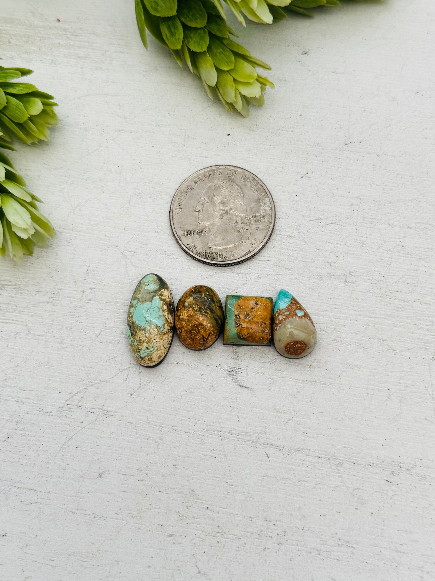 Evans Turquoise Cabs