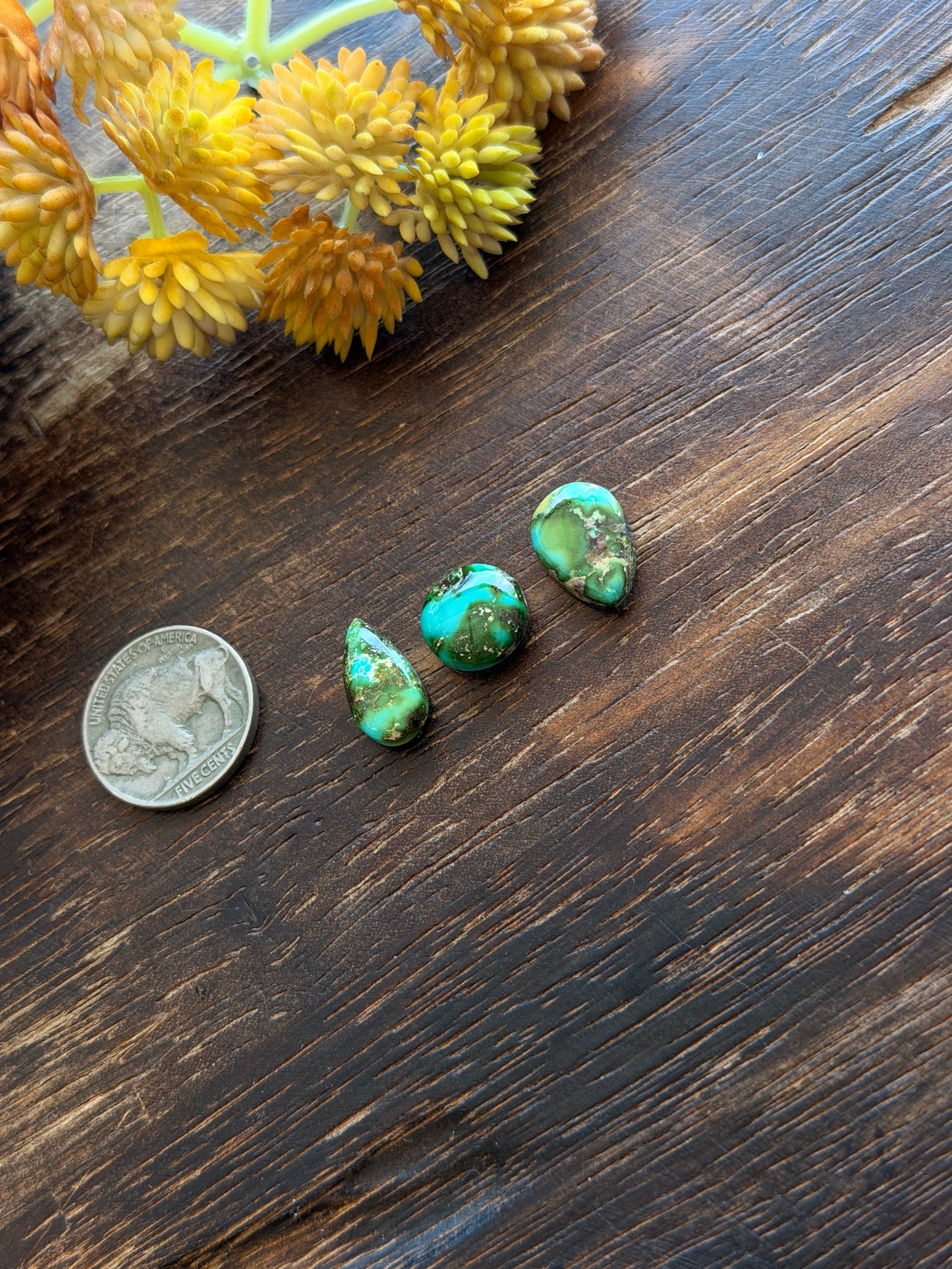 Sonoran Mountain Turquoise Cabs