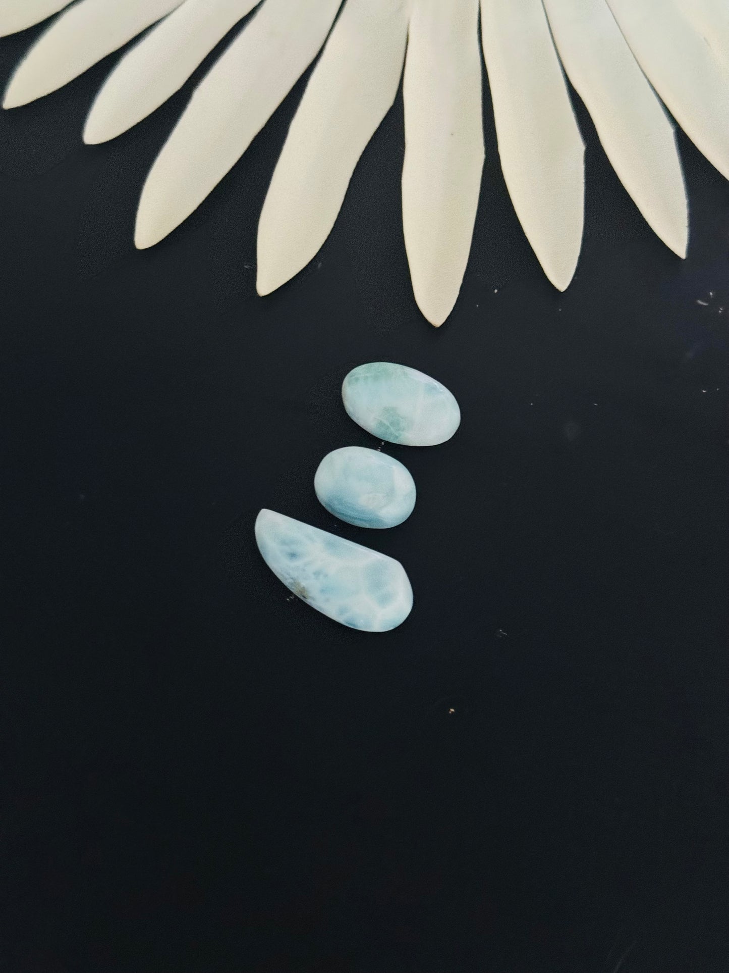 Larimar Cabs