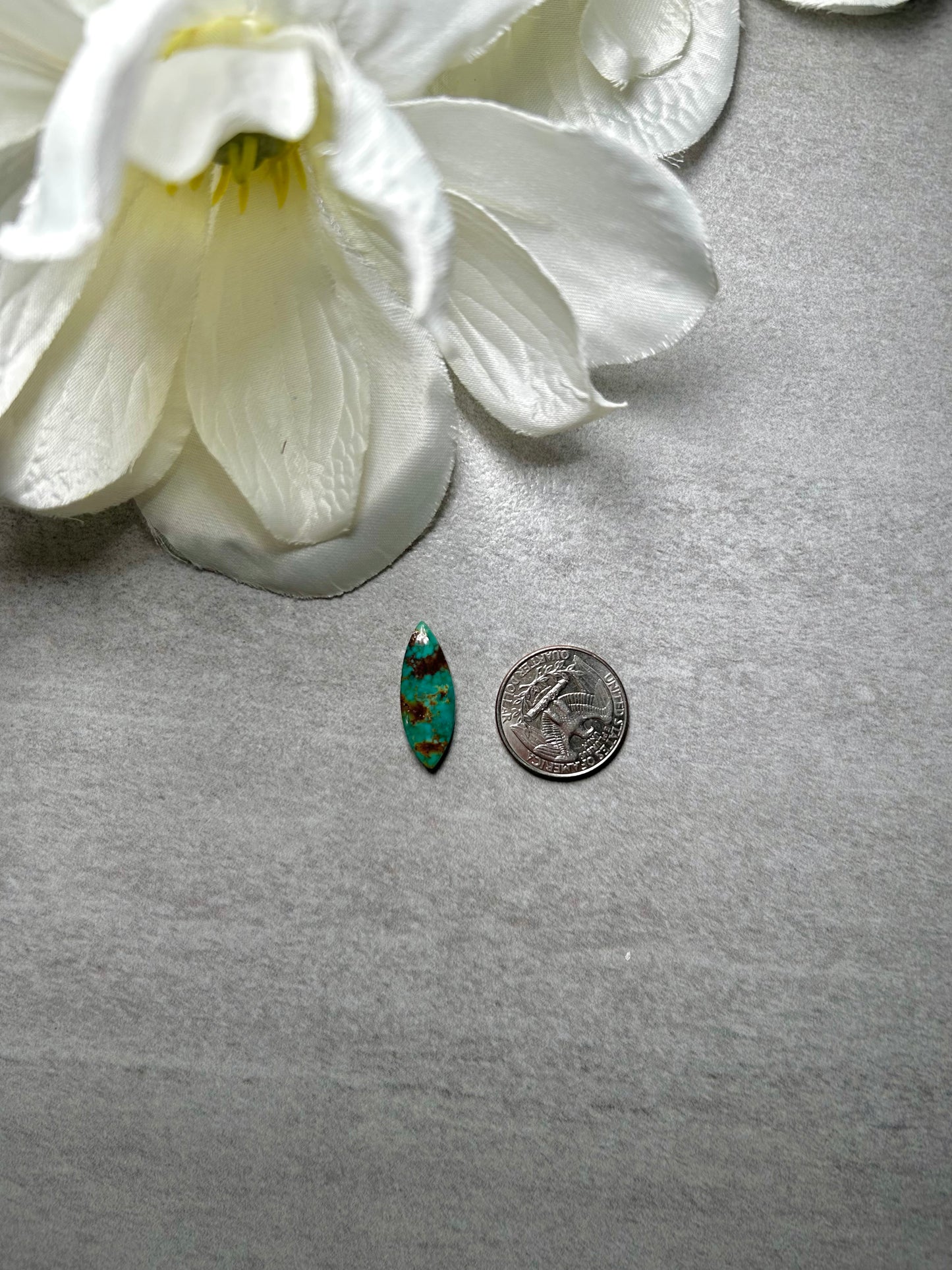 Kingman Turquoise Cab