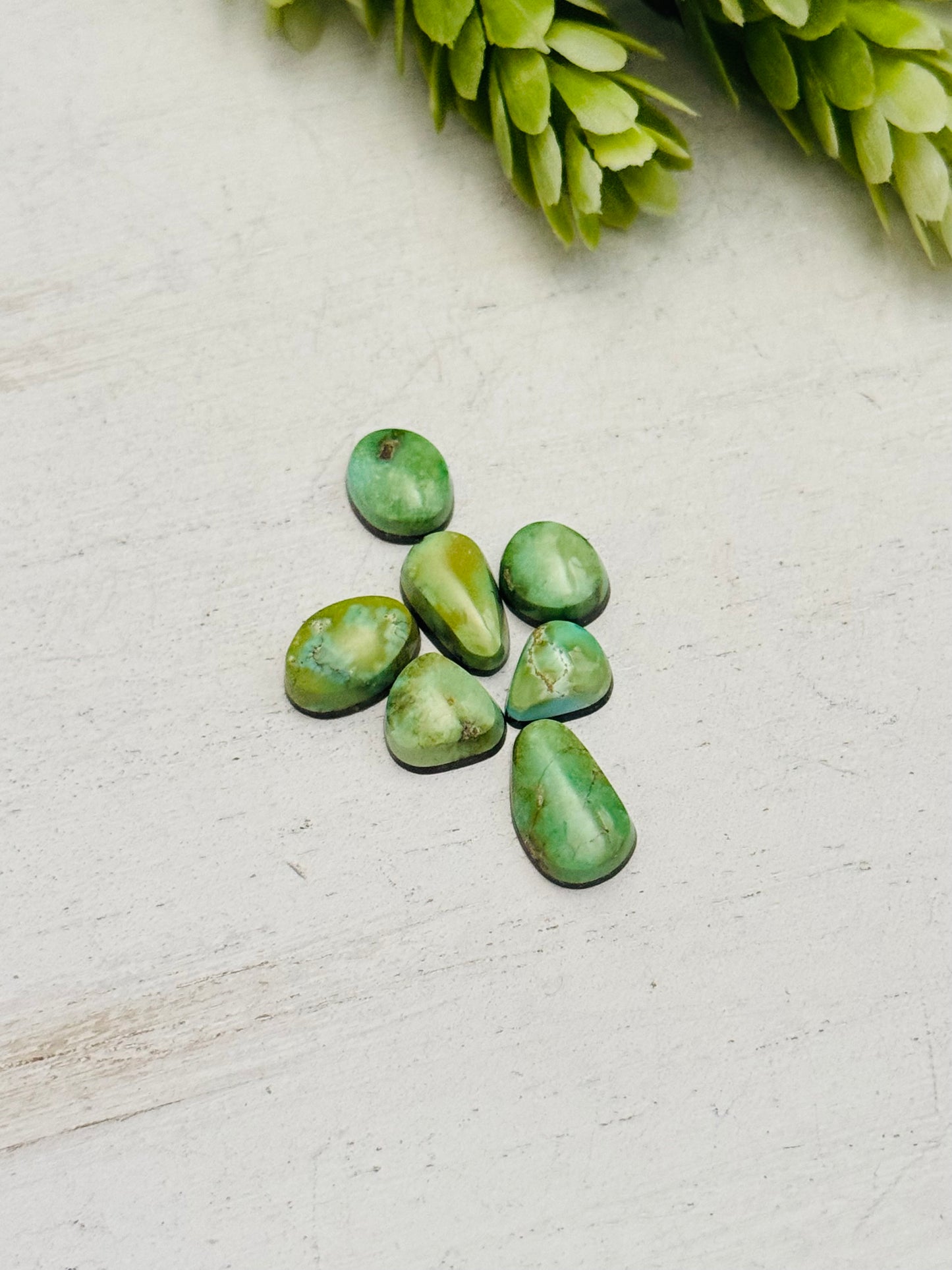 Natural Sonoran Gold Turquoise Cabs