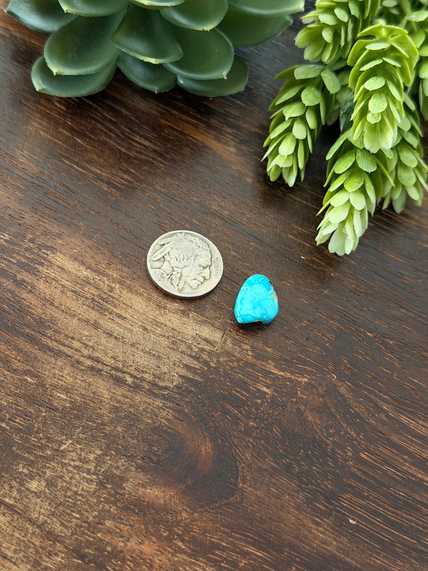 Blue Bird Turquoise Cab