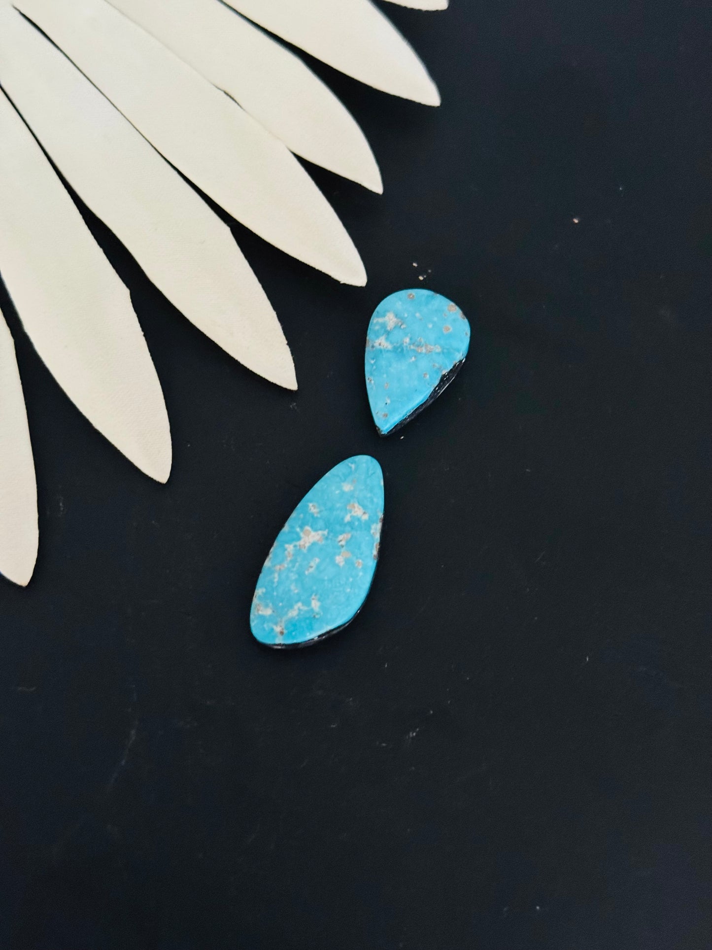 Blue Bird Turquoise Cabs
