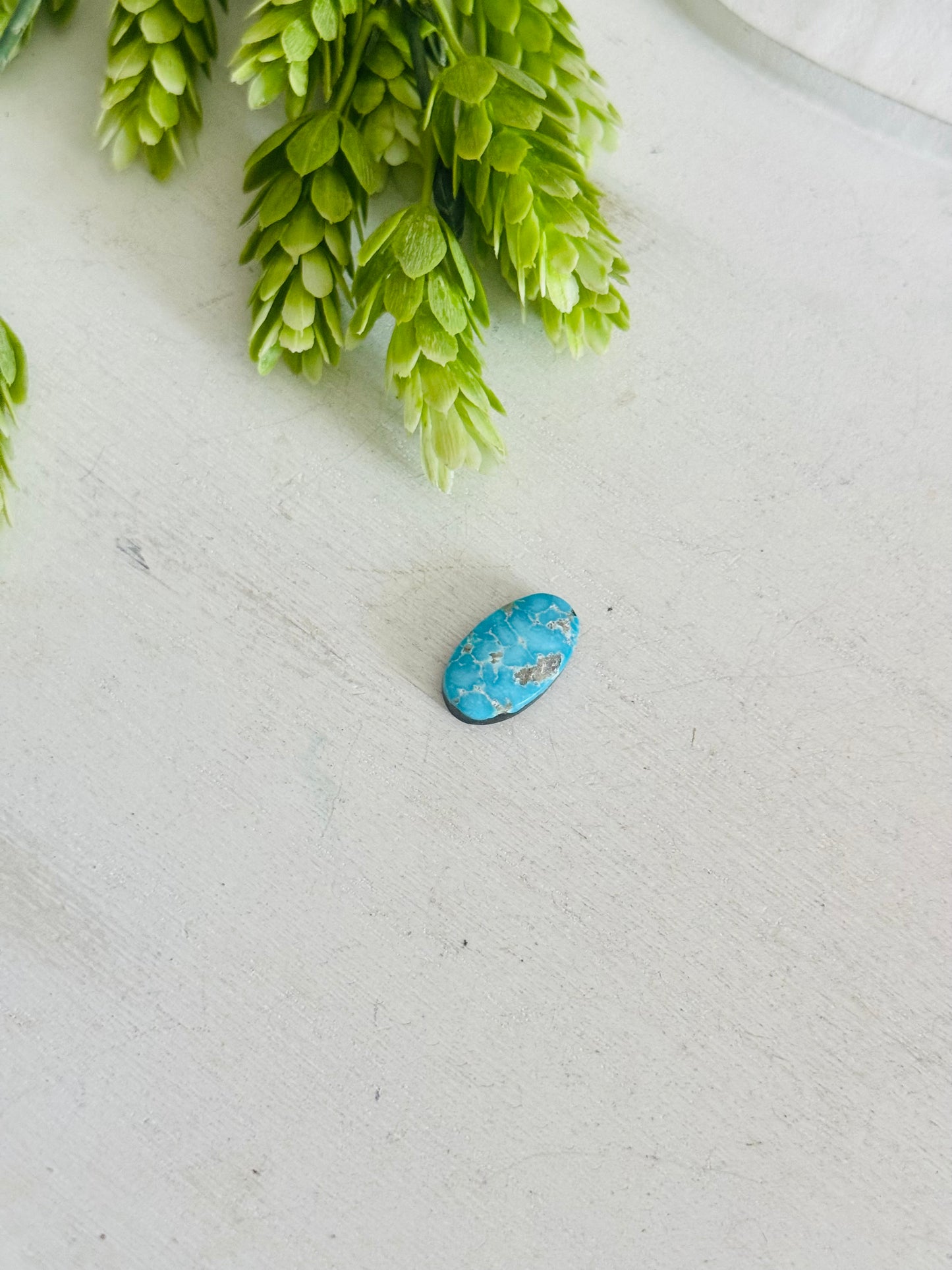 Blue Bird Turquoise Cab
