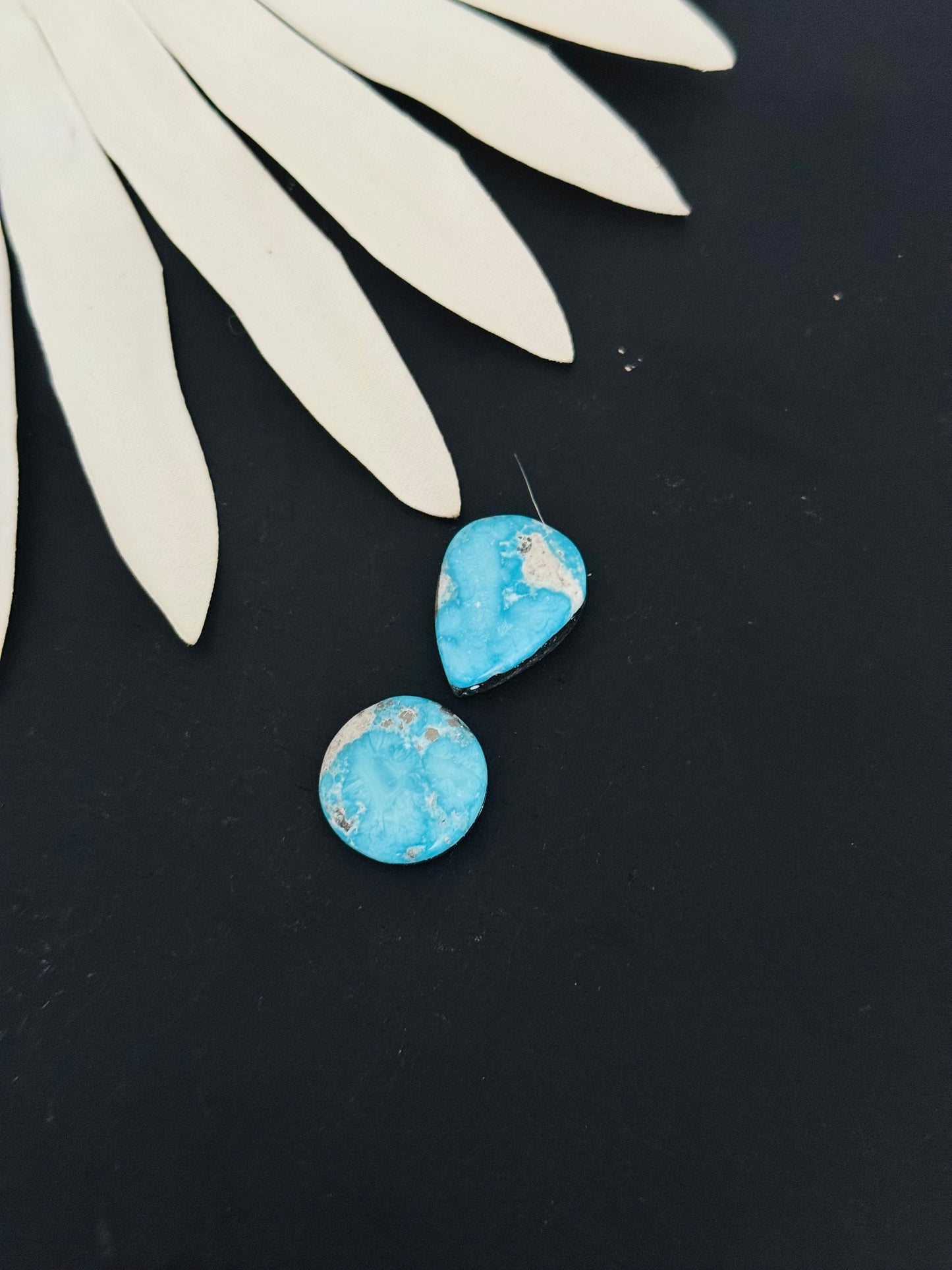 Blue Bird Turquoise Cabs