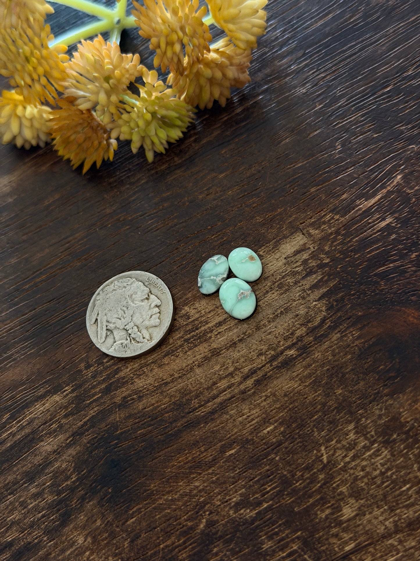 Paloma Variscite Cabs
