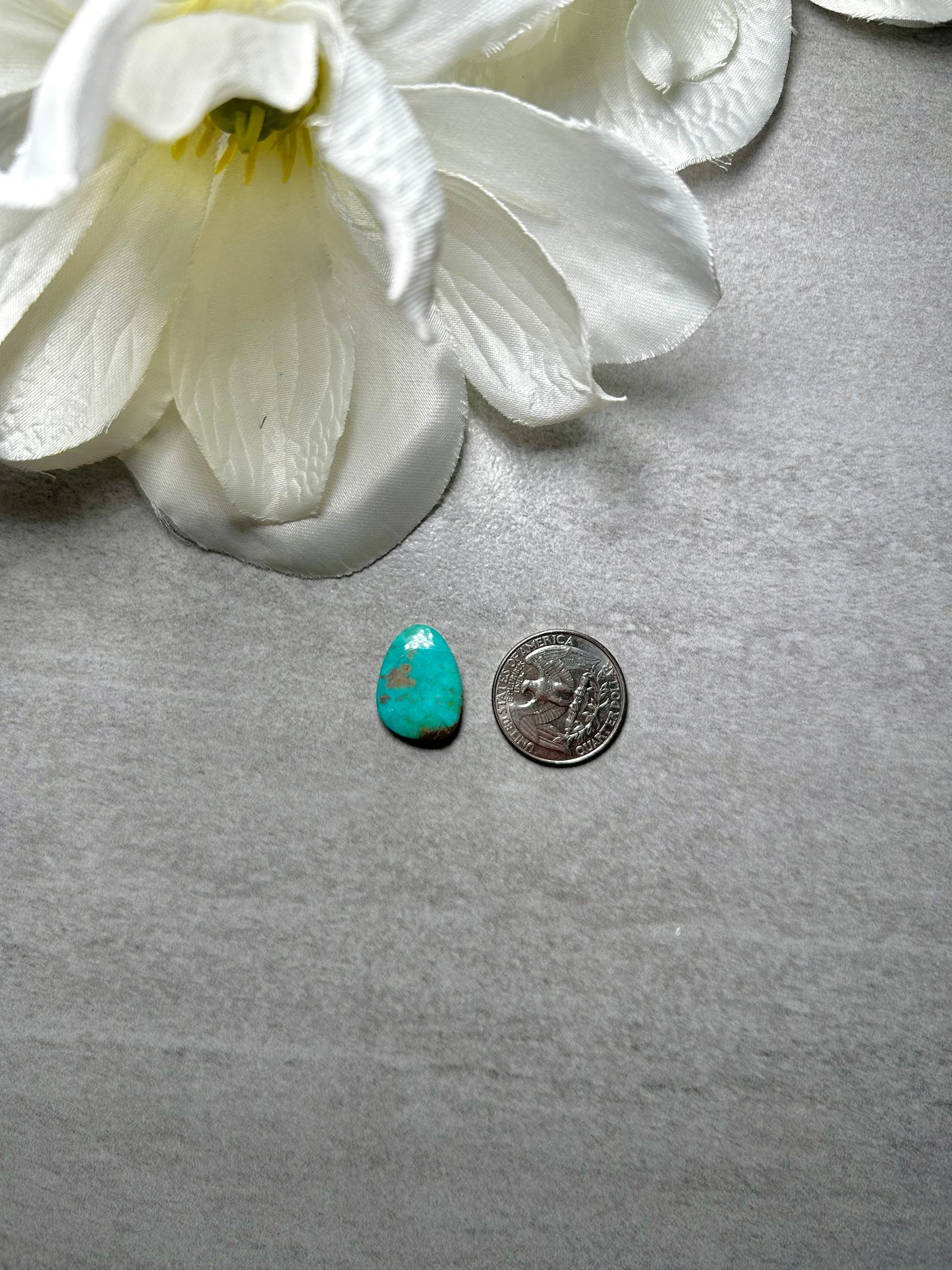 Kingman Turquoise Cab