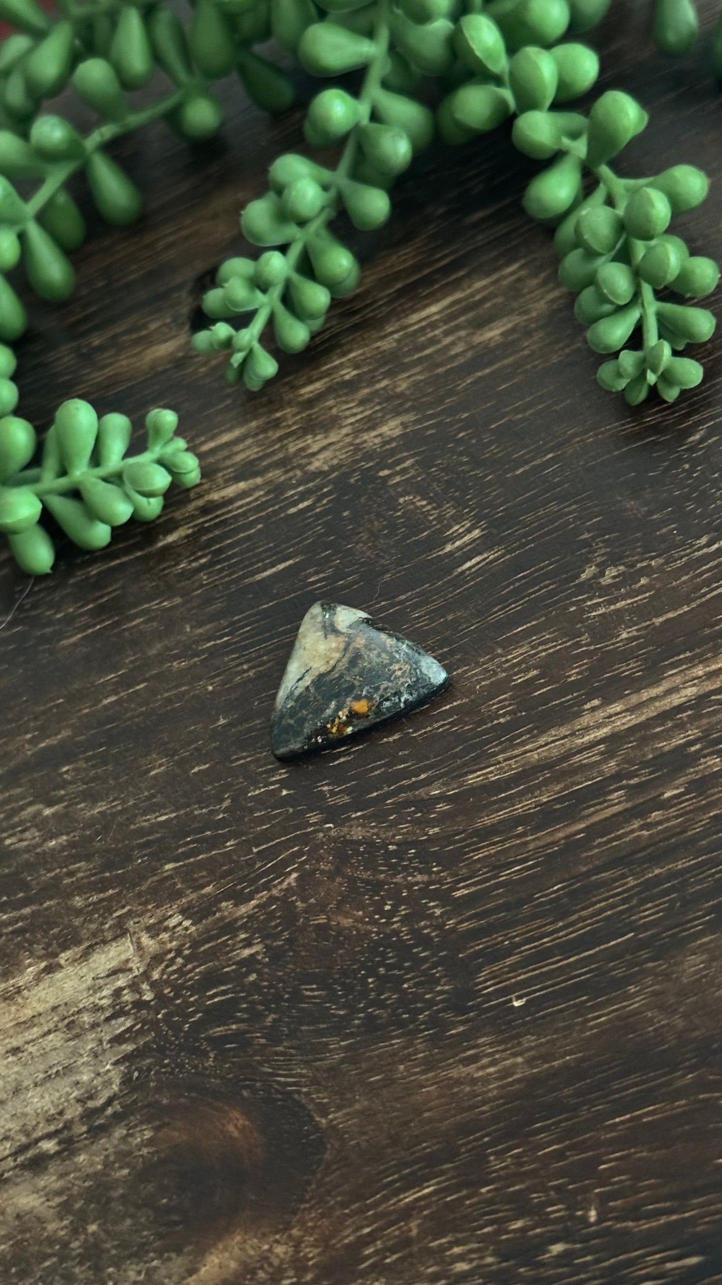 Black Jack Turquoise Cab
