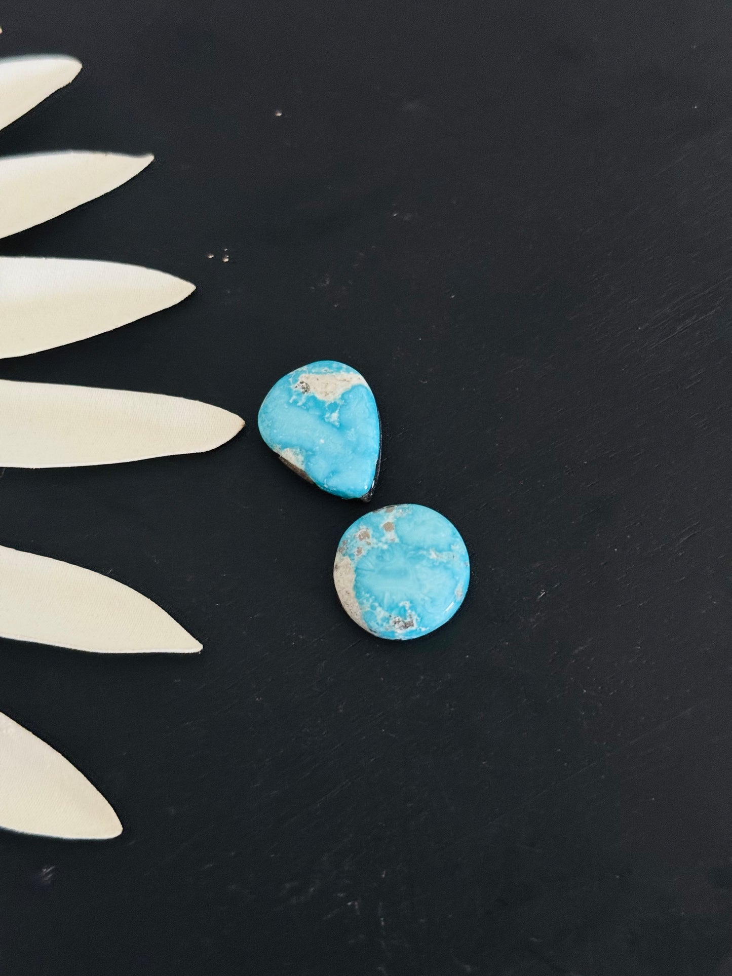 Blue Bird Turquoise Cabs