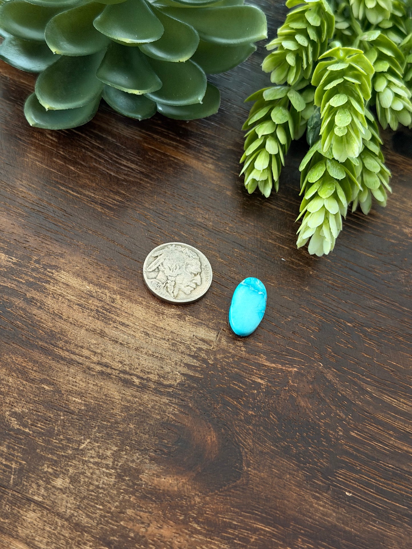 Blue Bird Turquoise Cab