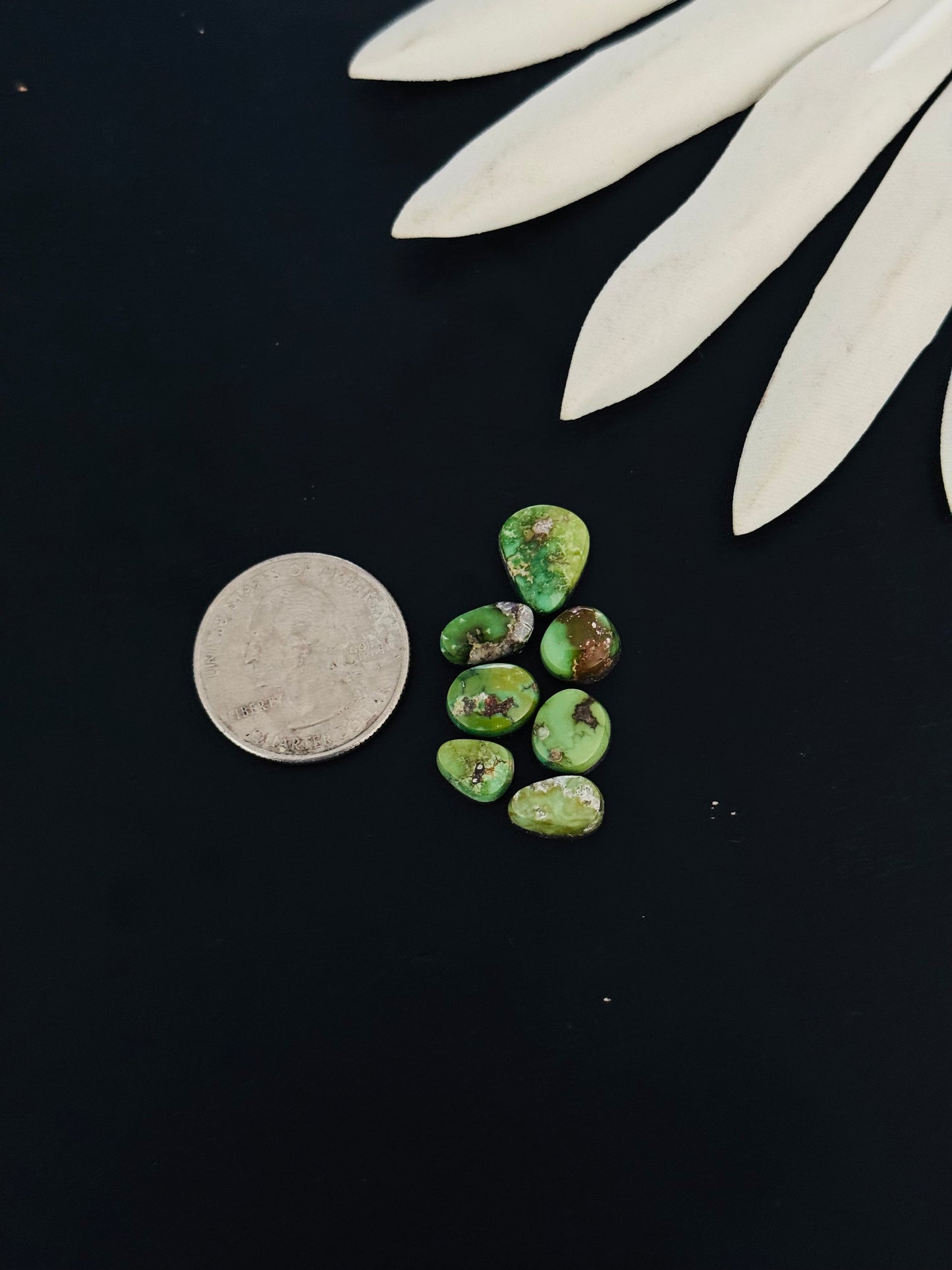 Natural Sonoran Gold Turquoise Cabs