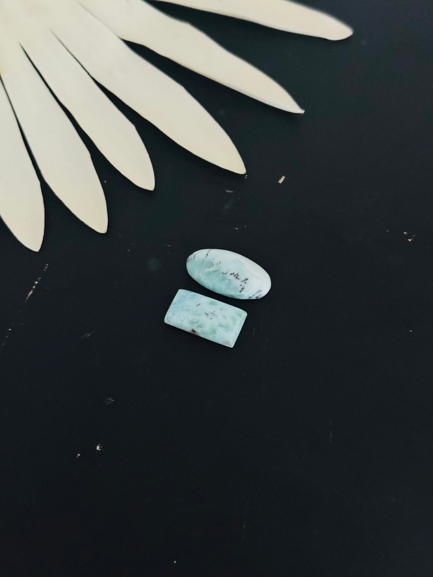Larimar Cabs