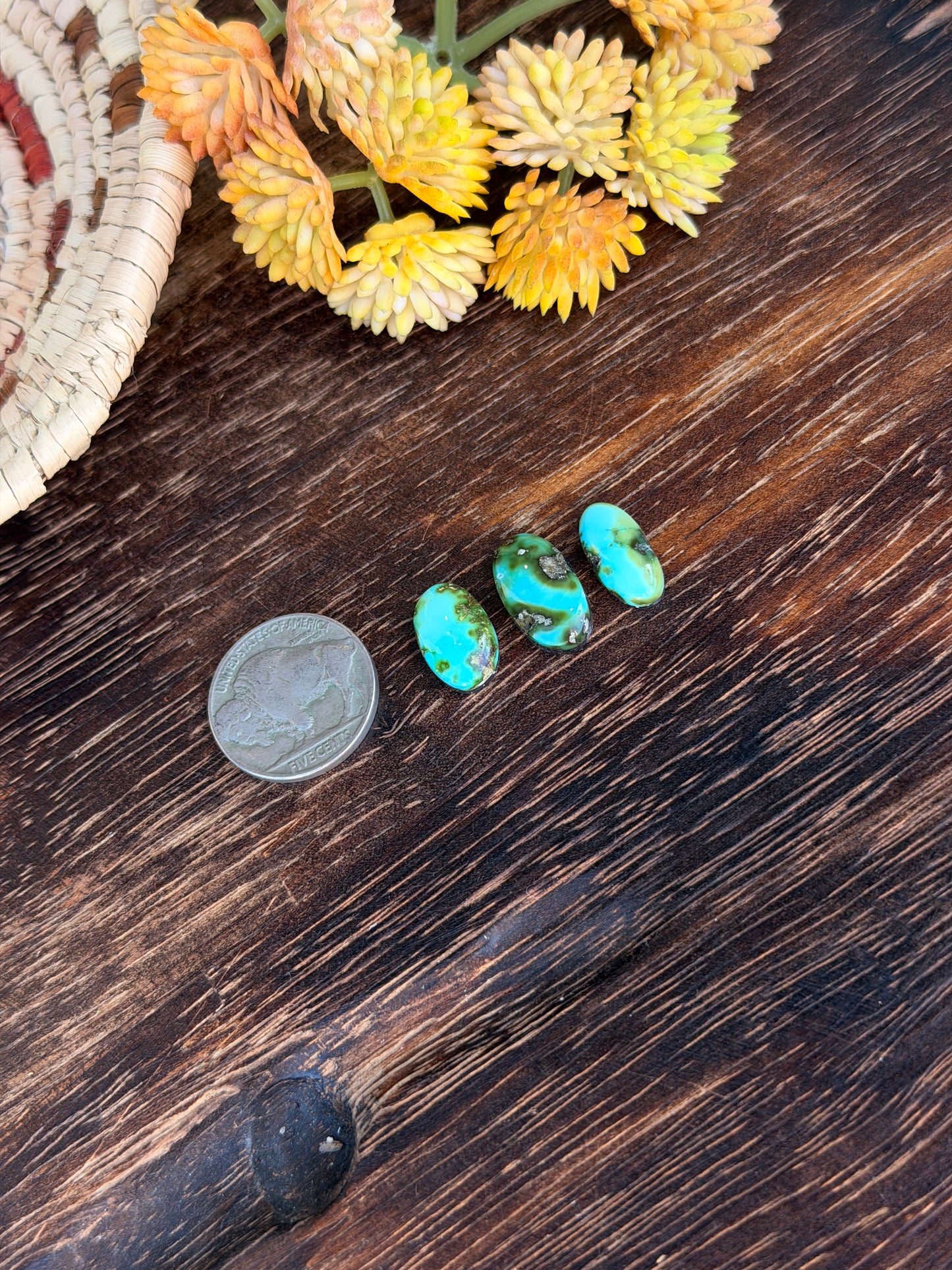 Sonoran Mountain Turquoise Cabs