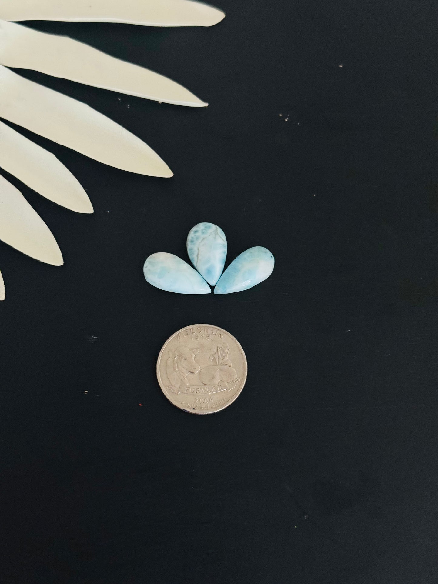 Larimar Cabs