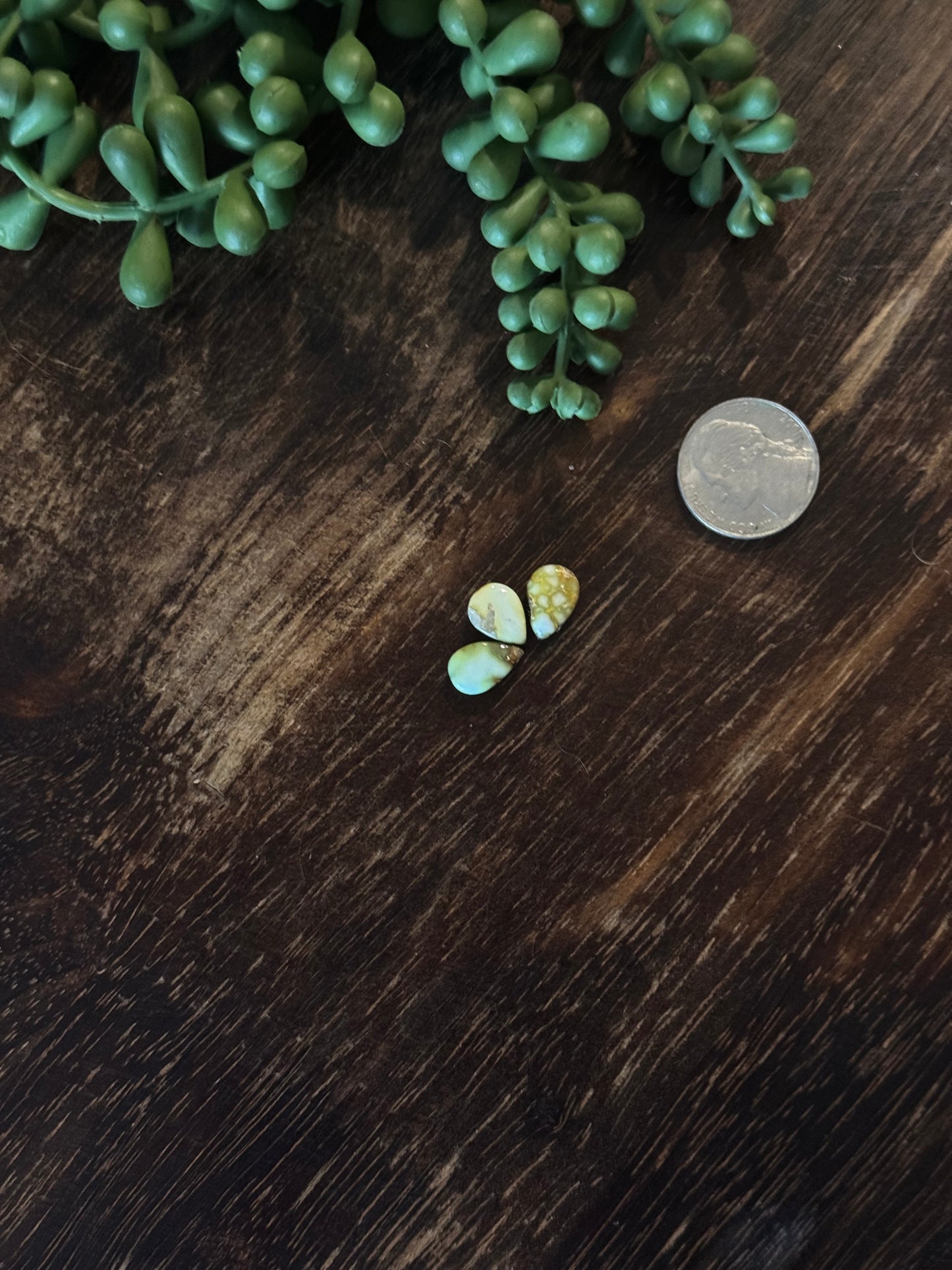 Palomino Variscite Cabs