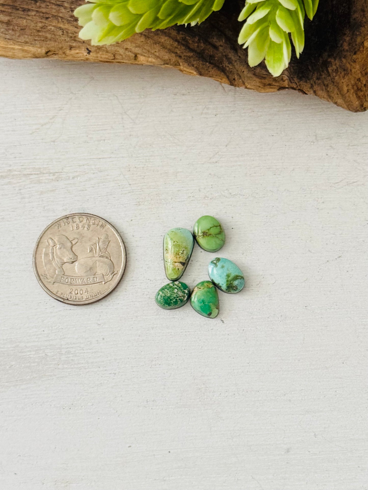 Natural Sonoran Gold Turquoise Cabs