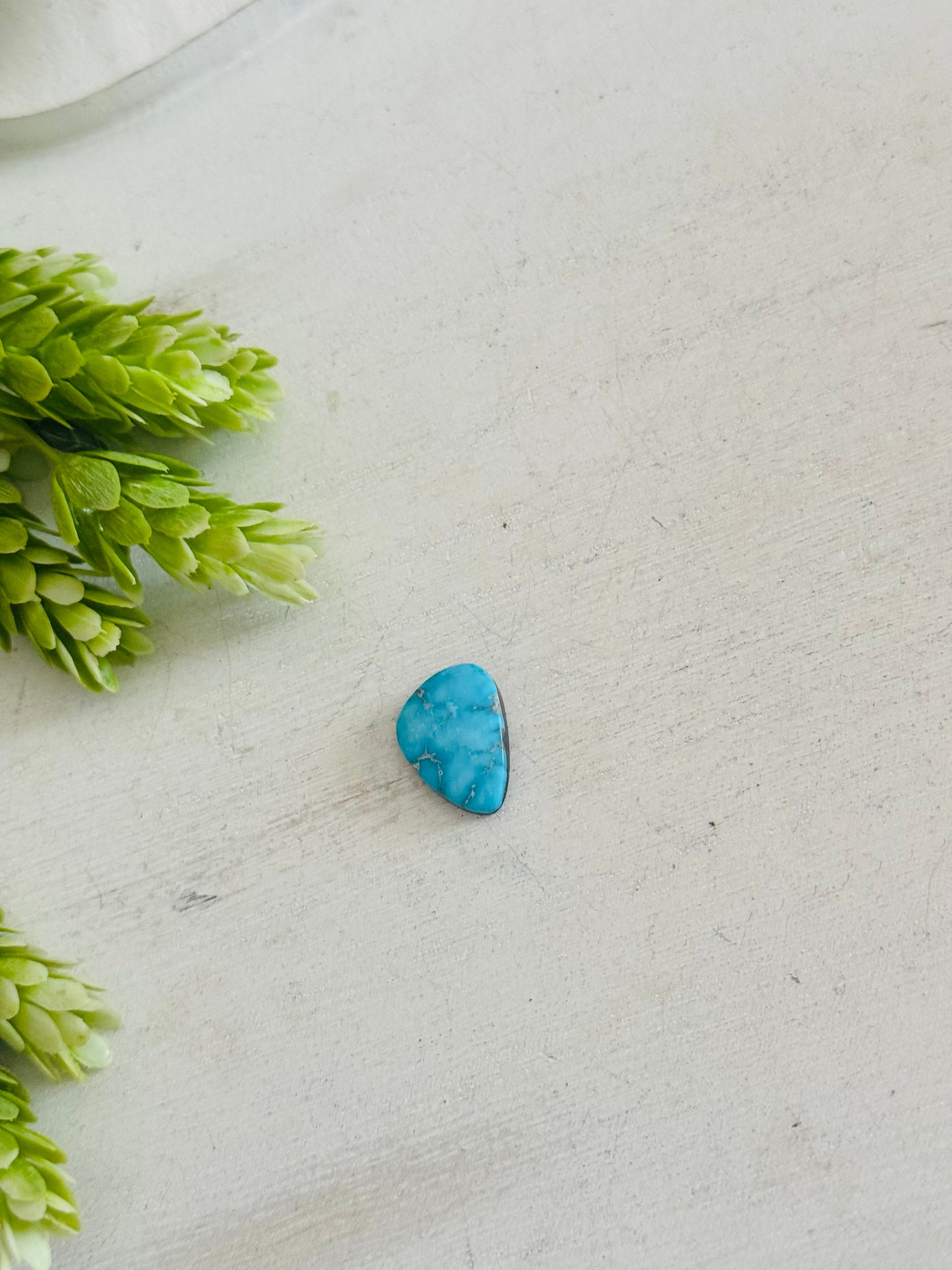 Blue Bird Turquoise Cab