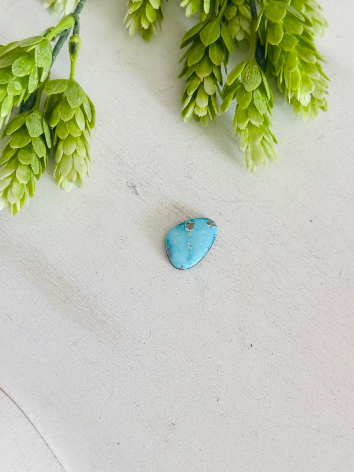 Blue Bird Turquoise Cab