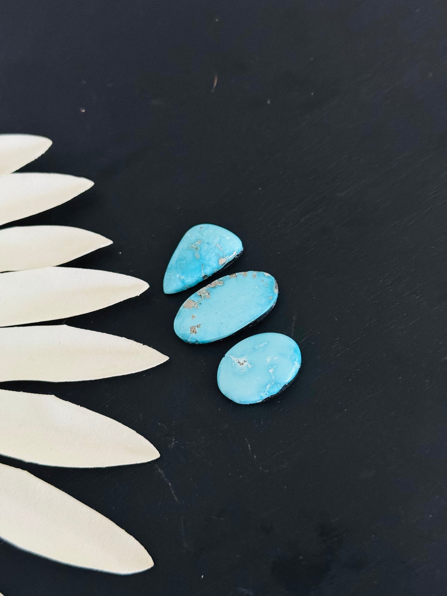 Blue Bird Turquoise Cabs