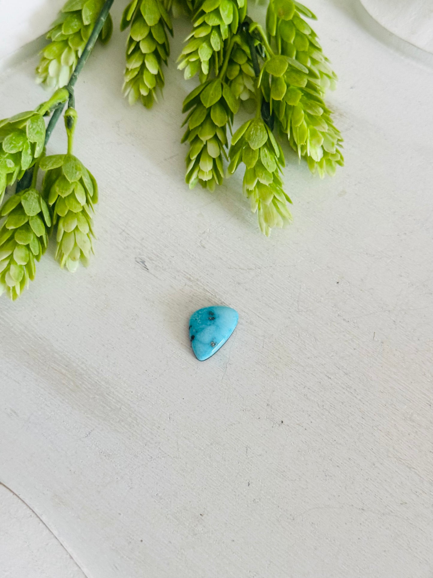 Blue Bird Turquoise Cab