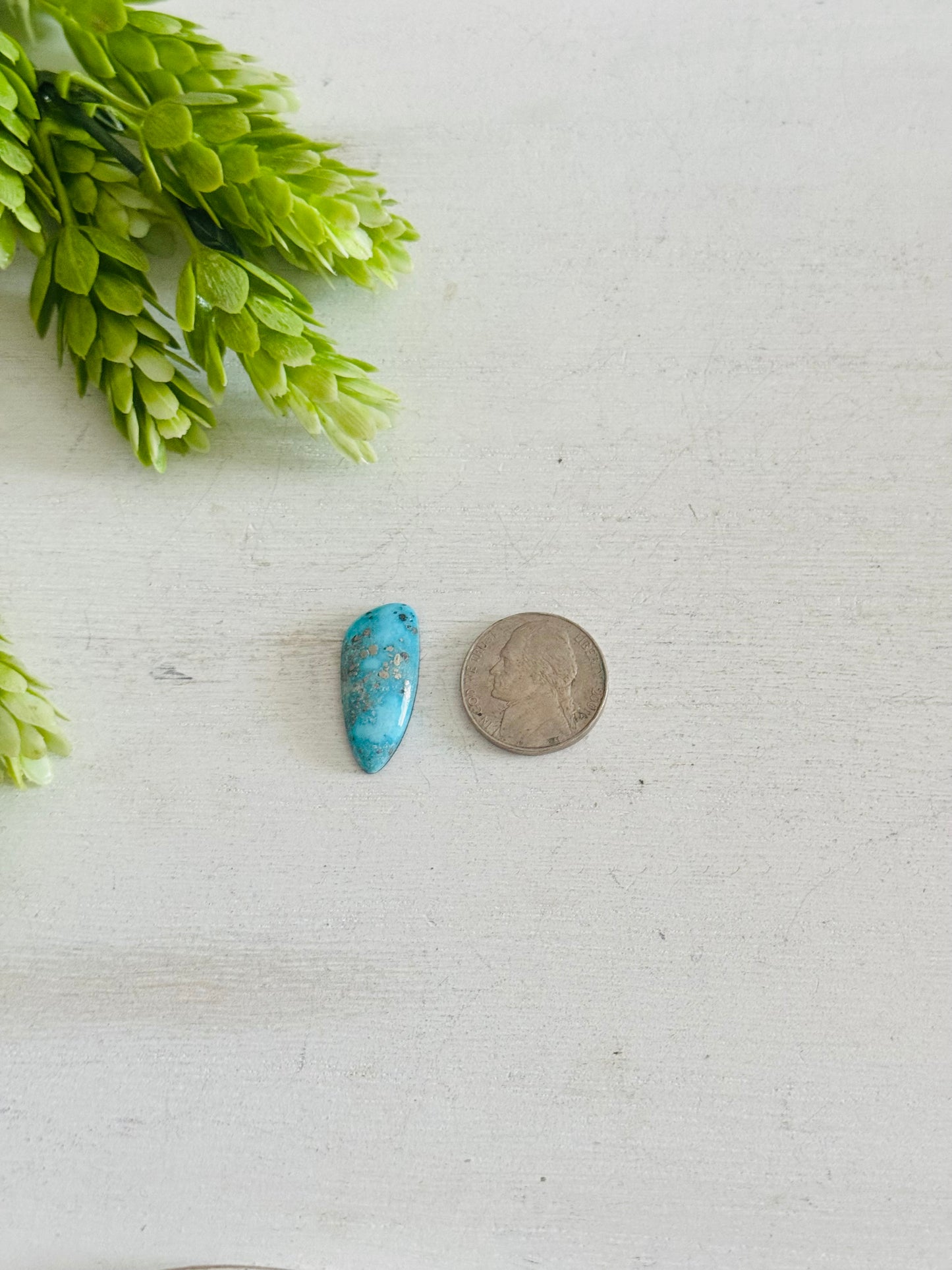 Blue Bird Turquoise Cab