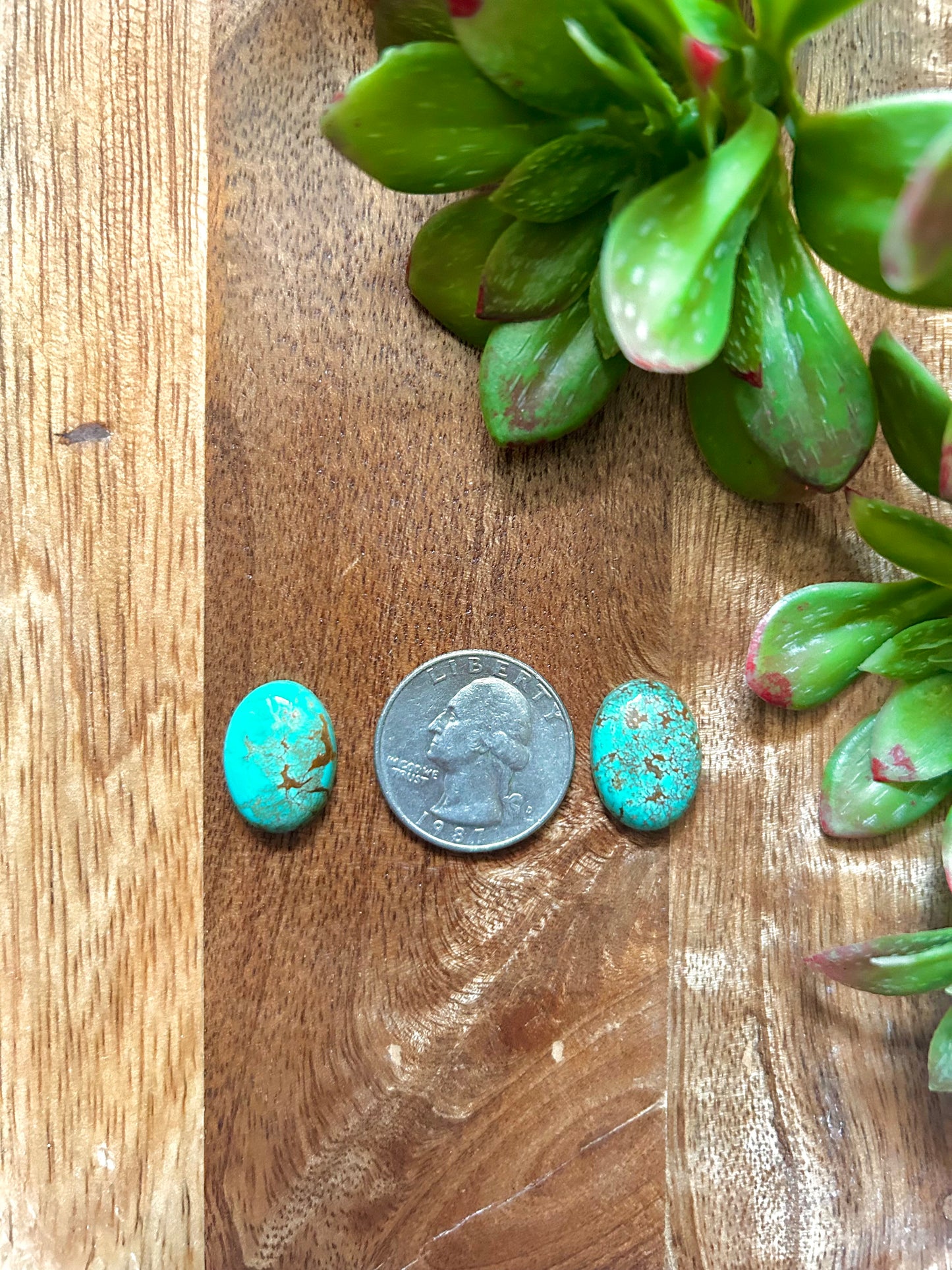 Kingman Turquoise Cabs