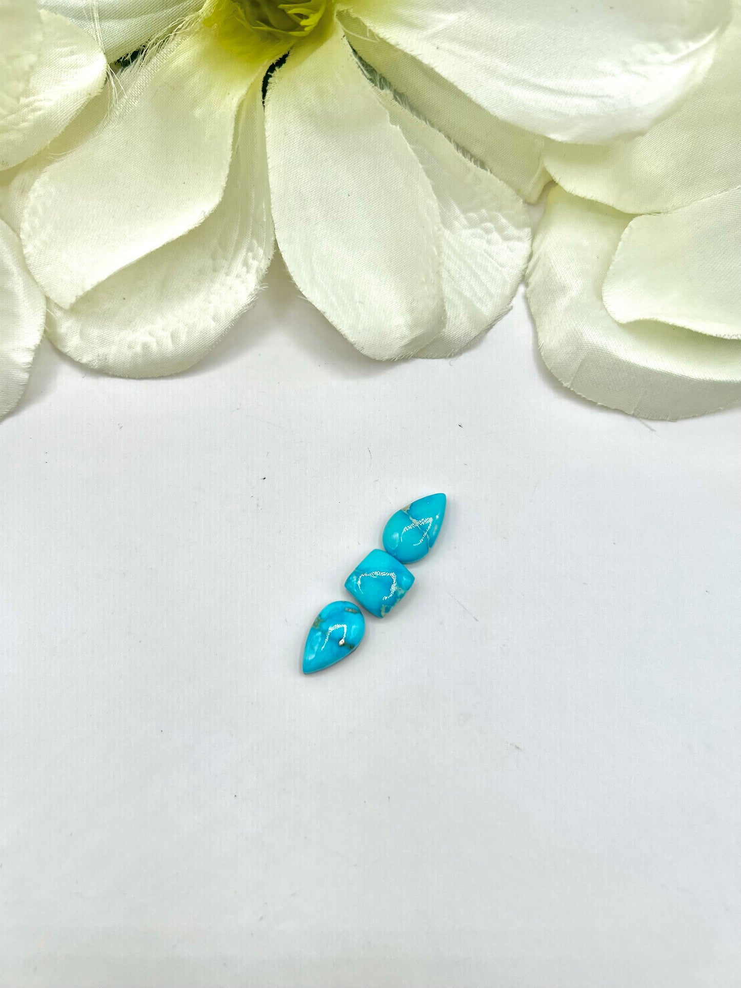 Blue Ridge Turquoise Cabs