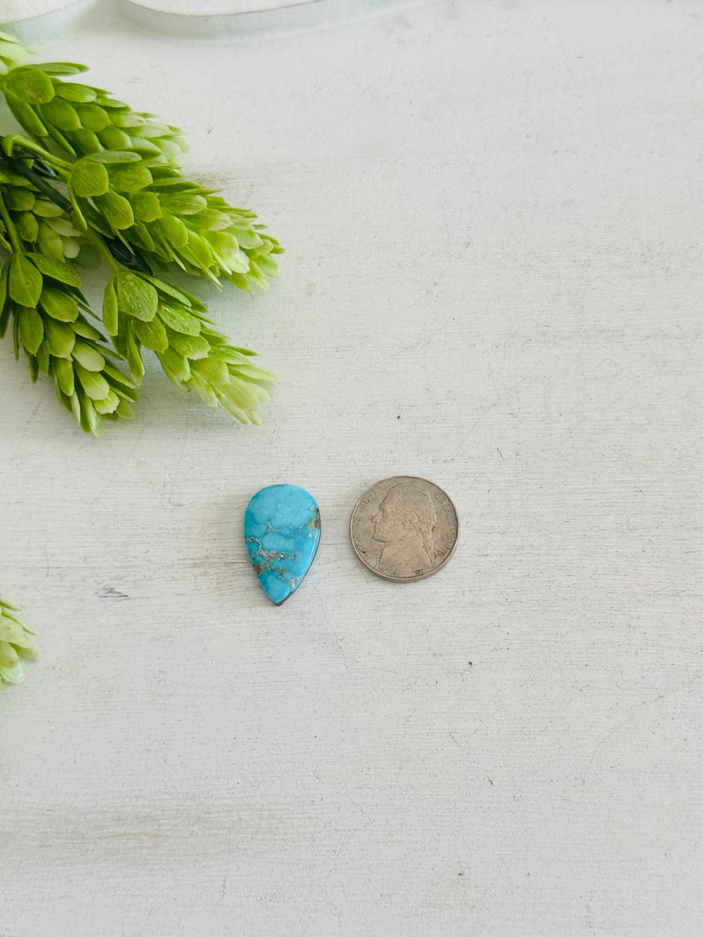 Blue Bird Turquoise Cab