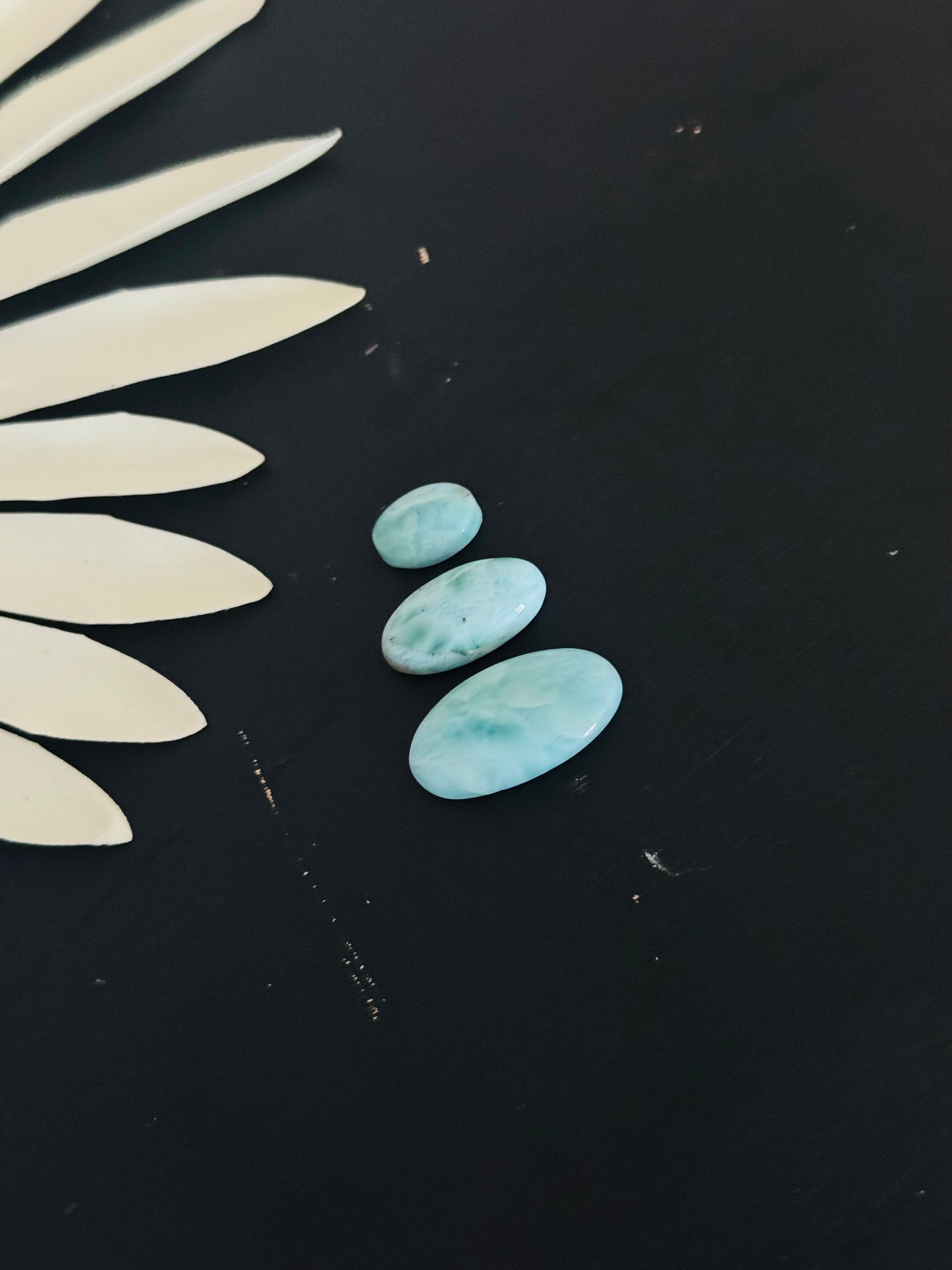 Larimar Cabs