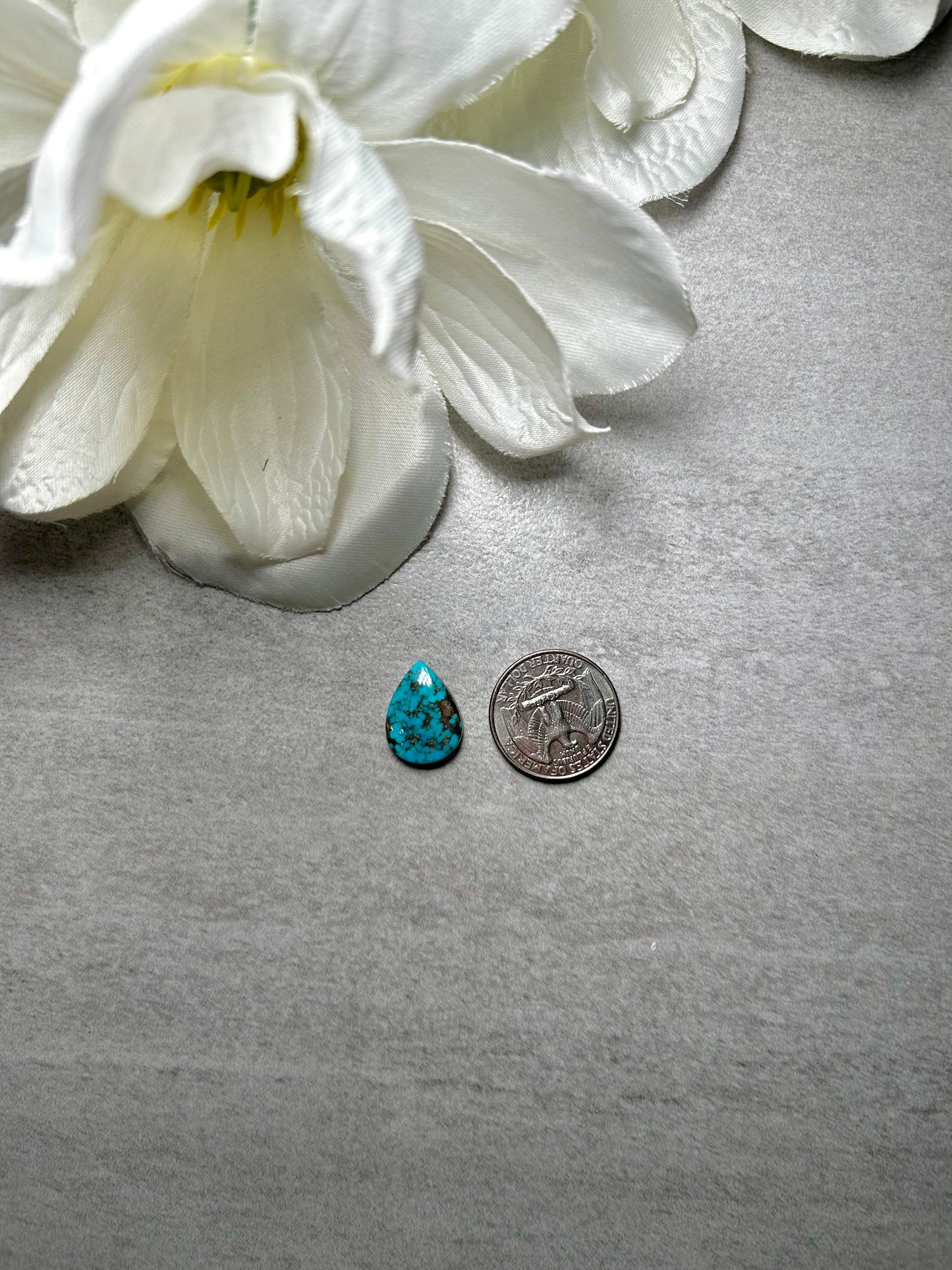 Kingman Turquoise Cab
