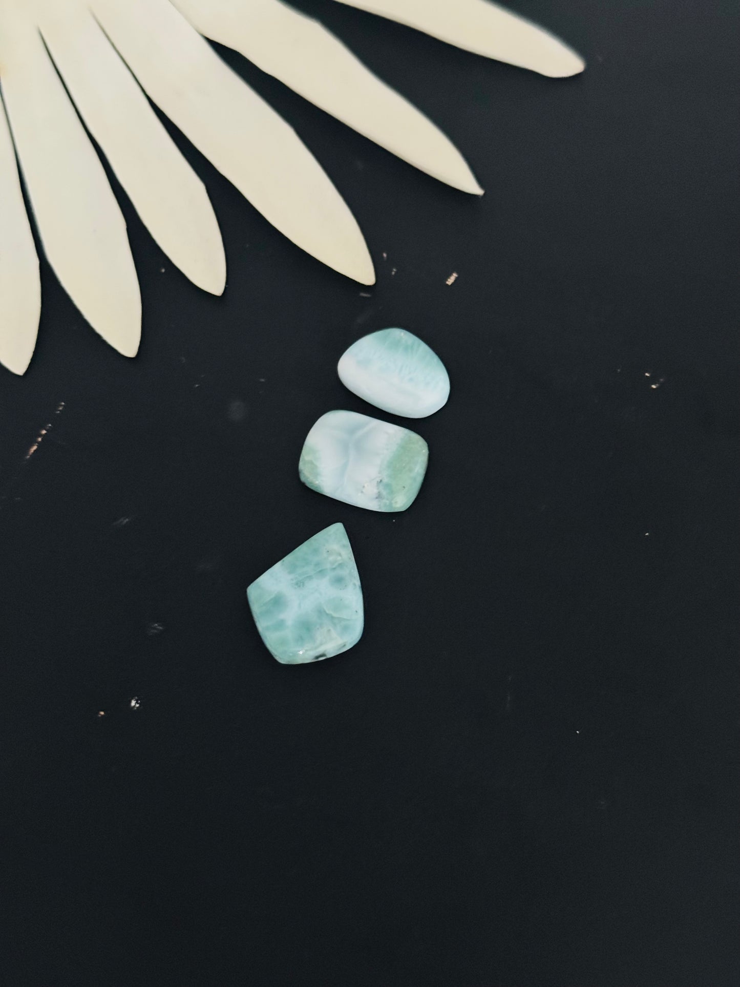 Larimar Cabs