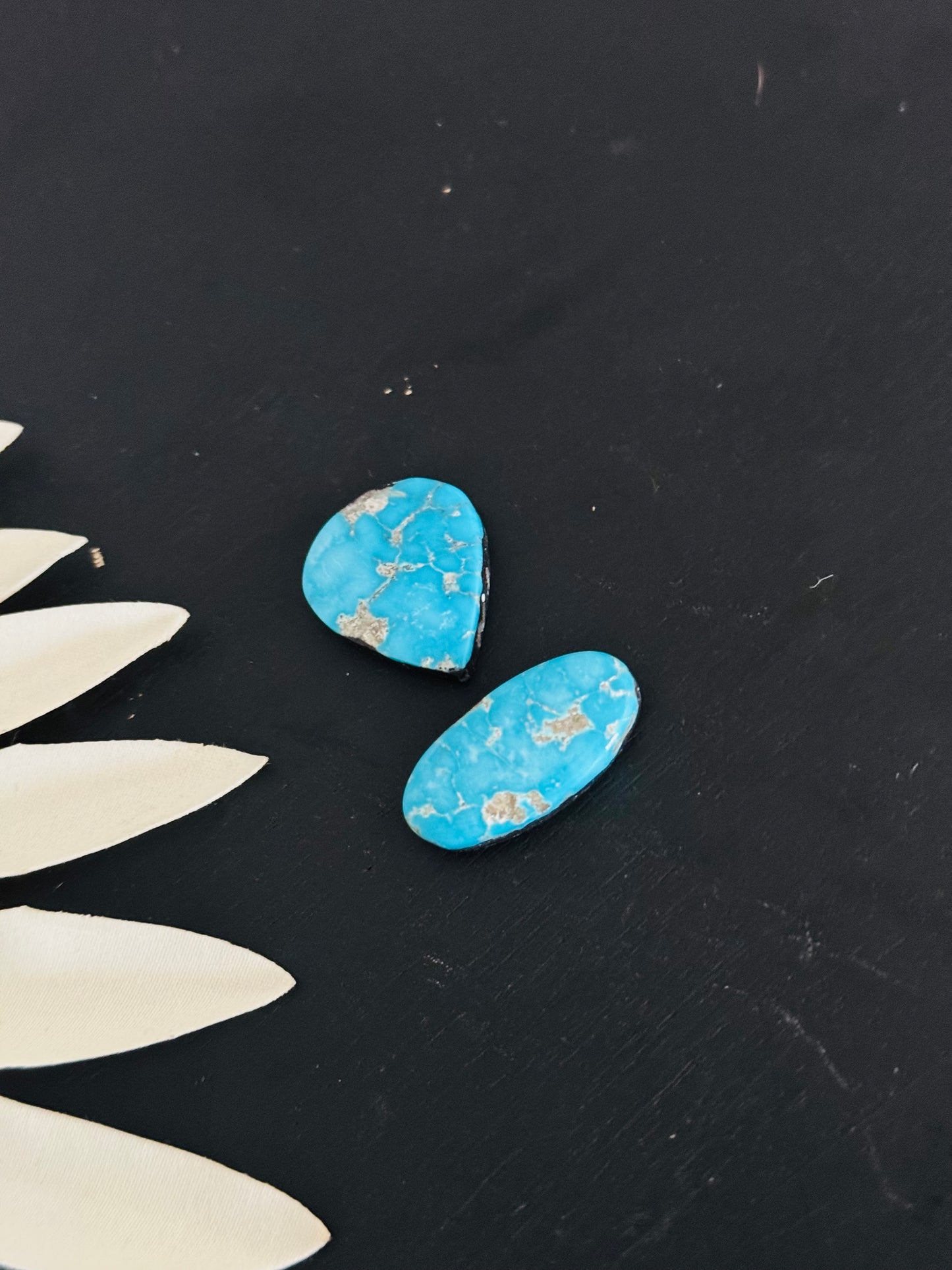 Blue Bird Turquoise Cabs