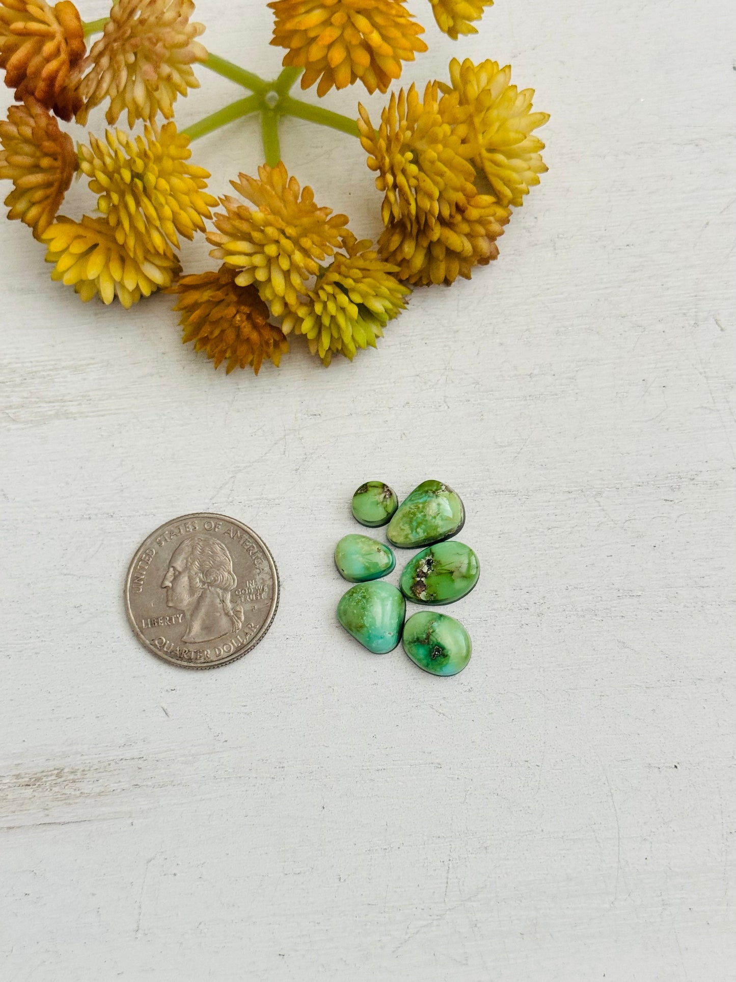 Natural Sonoran Gold Turquoise Cabs