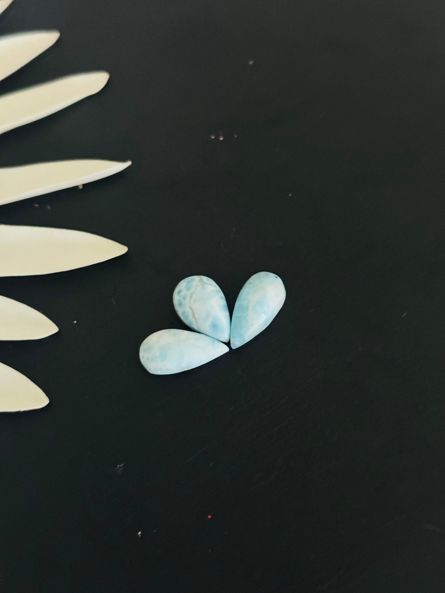 Larimar Cabs