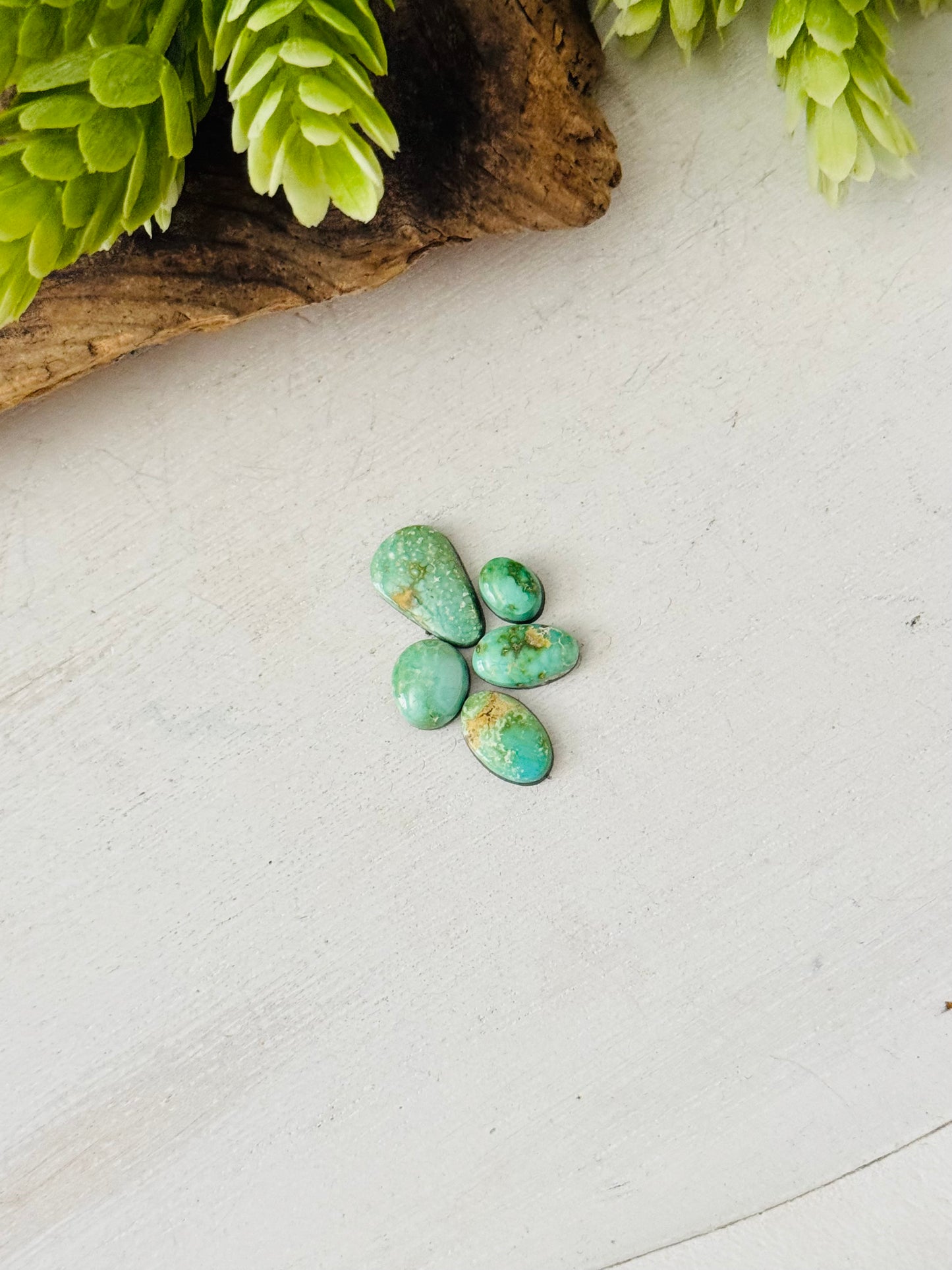 Natural Sonoran Gold Turquoise Cabs